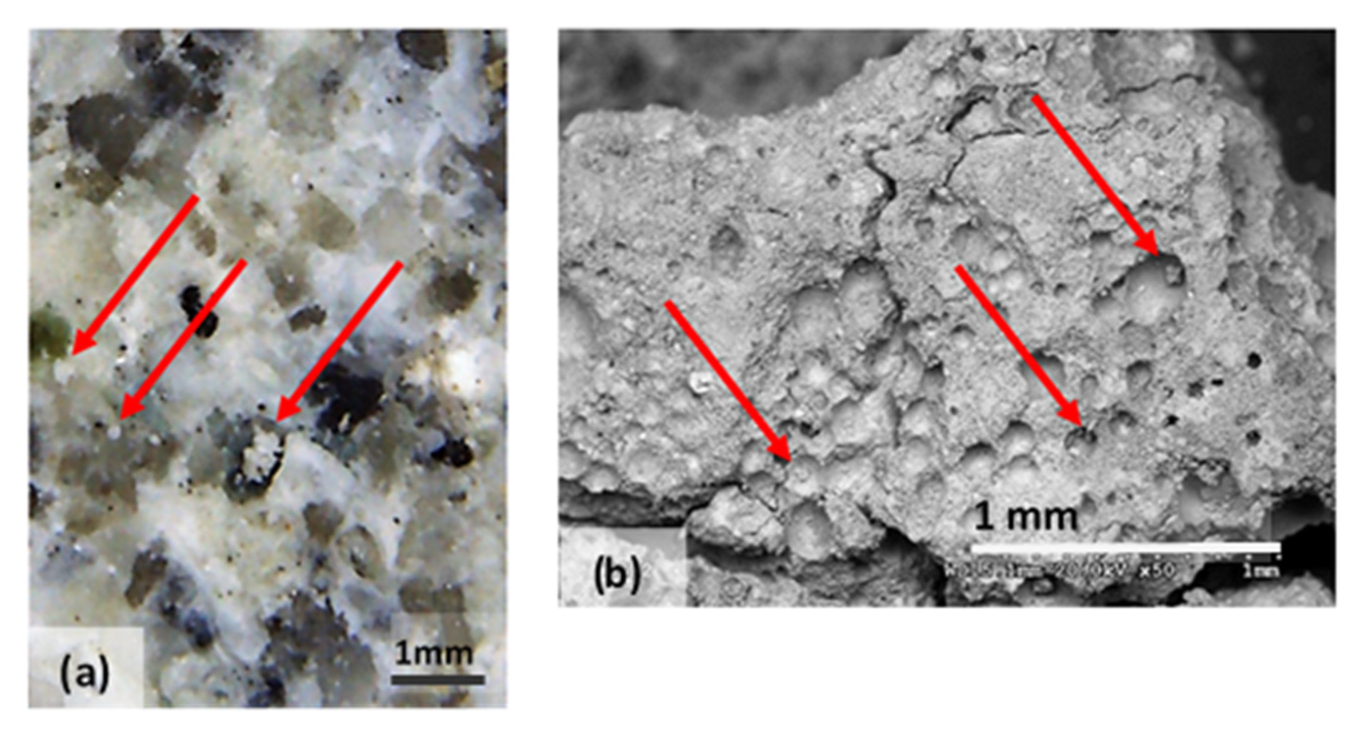 Materials 14 05369 g011 550