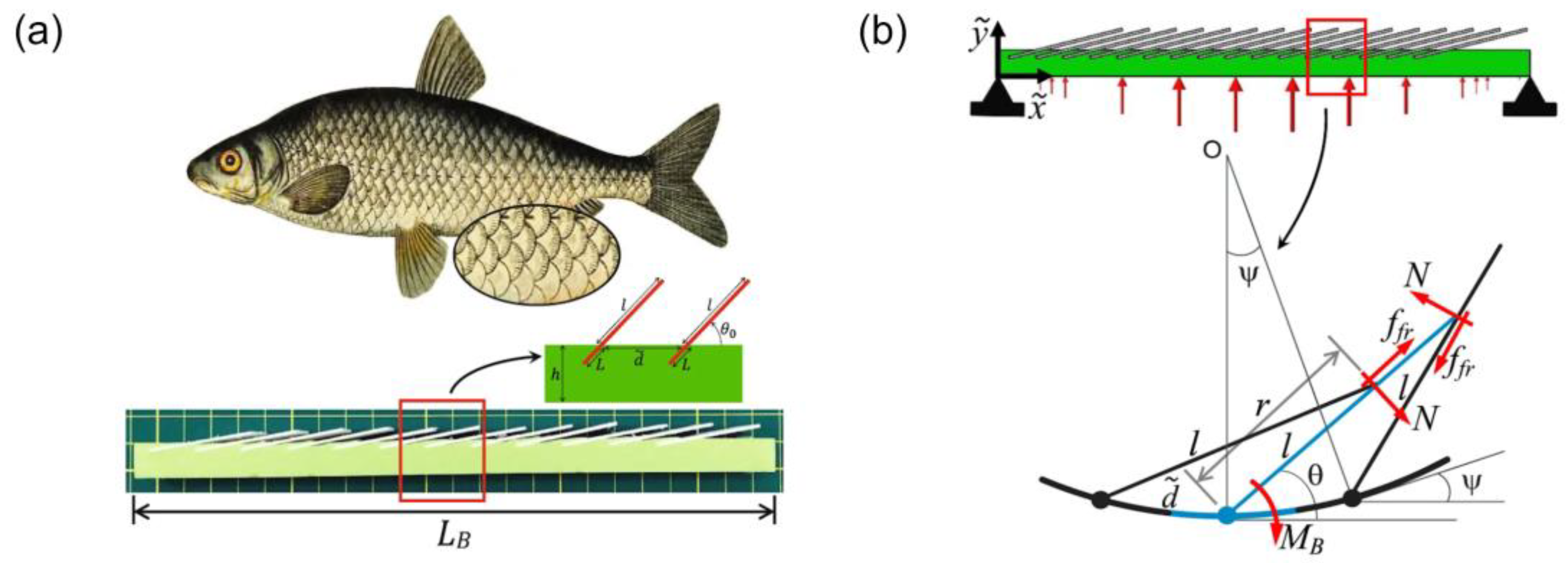 https://www.mdpi.com/materials/materials-14-05378/article_deploy/html/images/materials-14-05378-g001.png