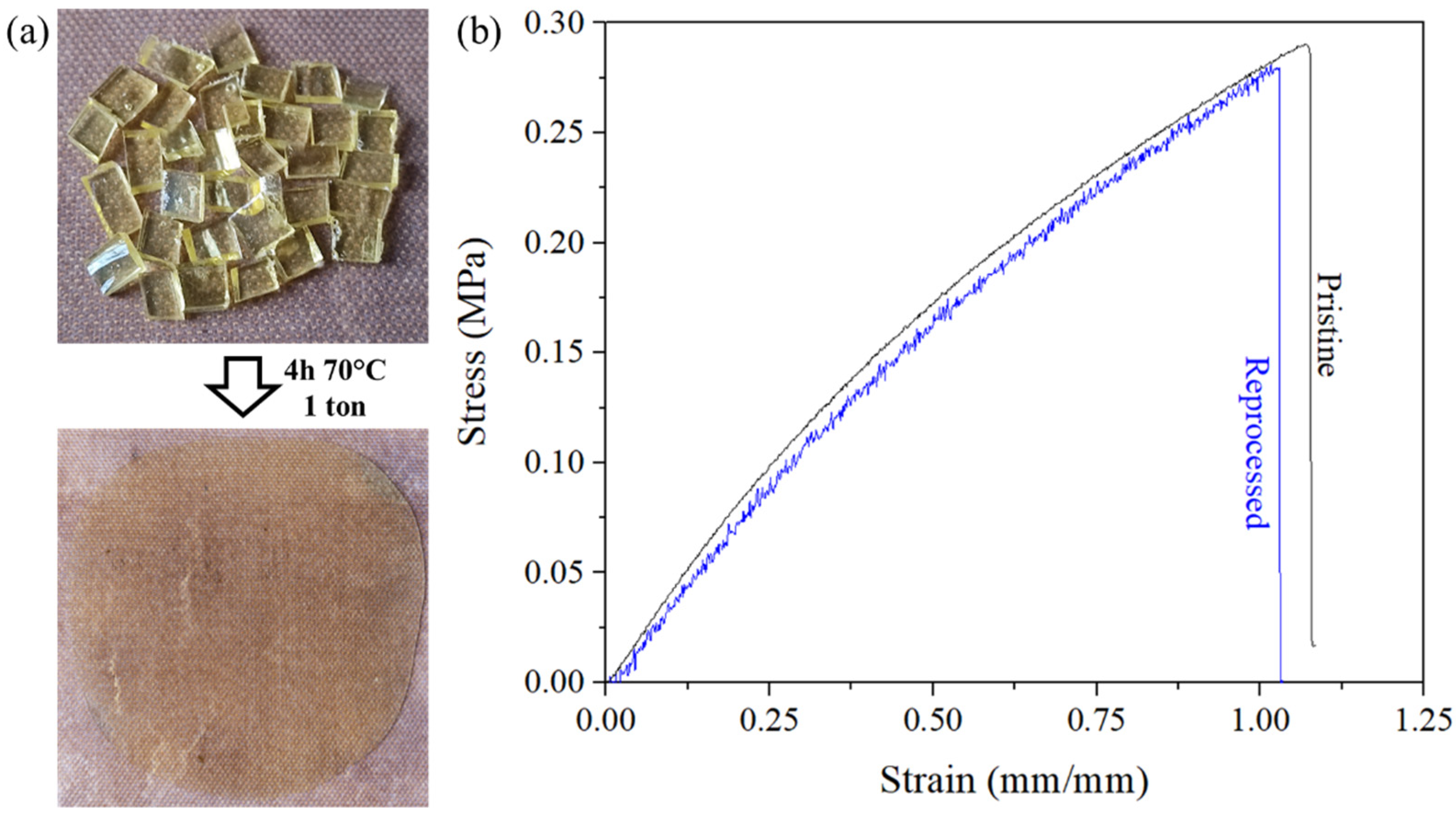 Materials 14 05382 g008 550