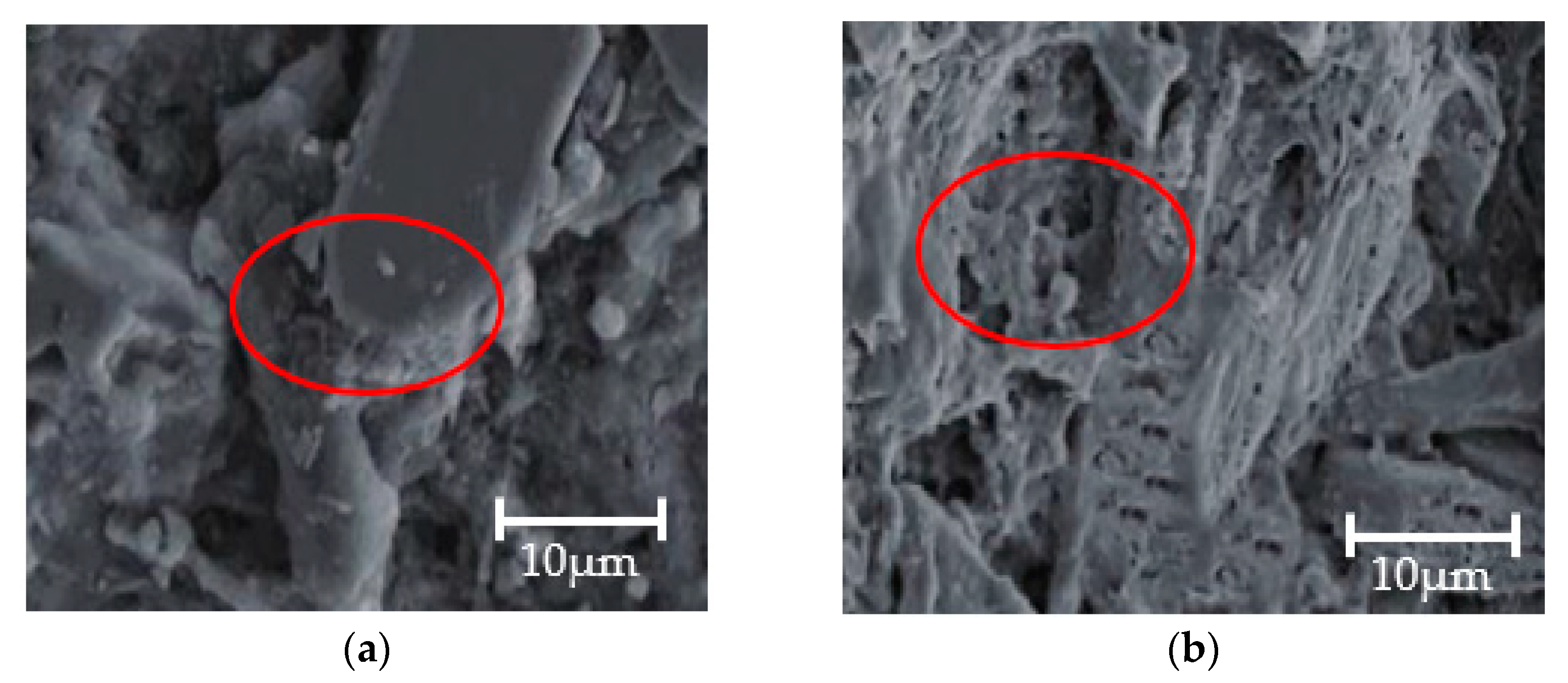 Materials 14 05387 g012 550