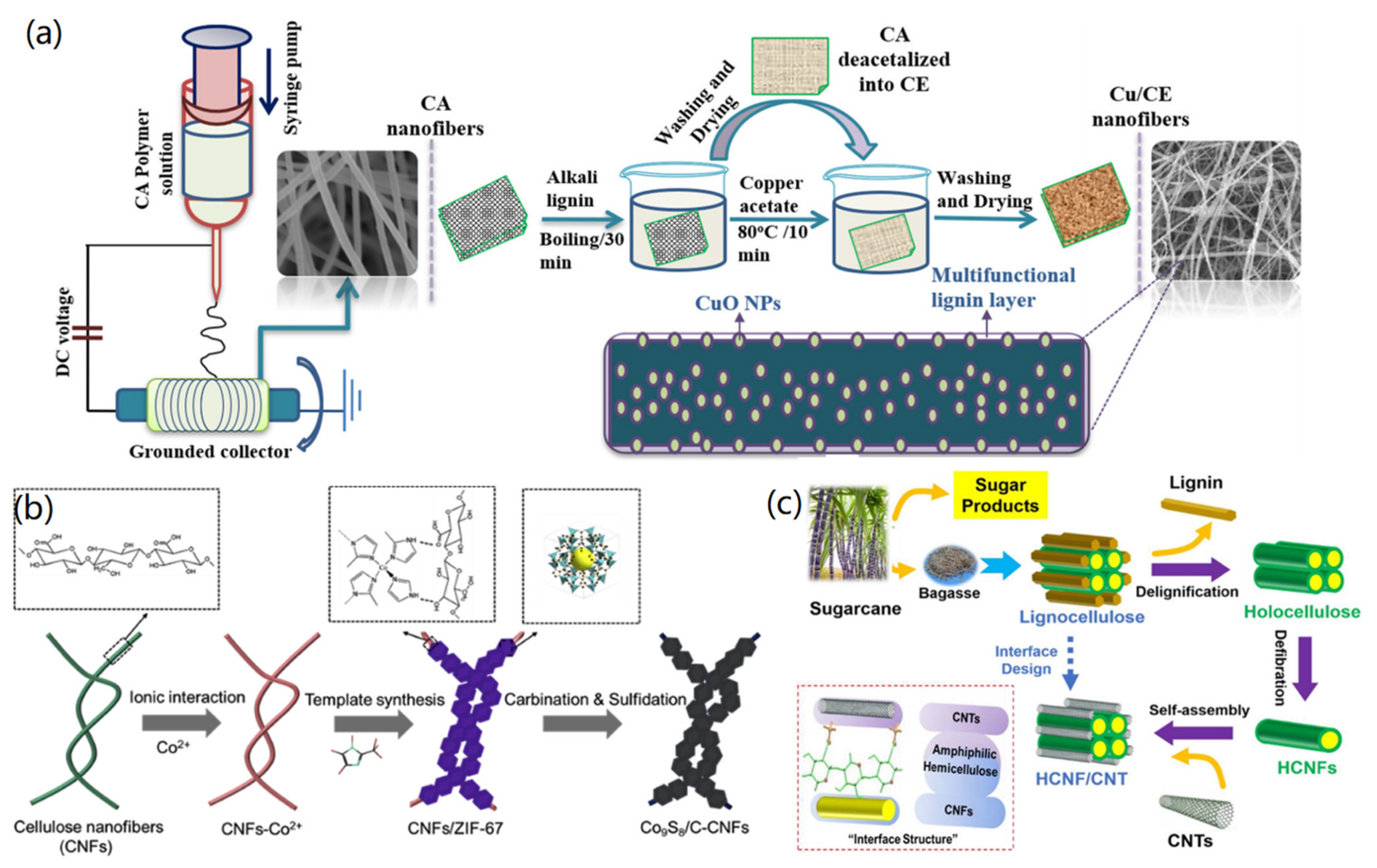 Recent Advances in the Fabrication and Environmental Science