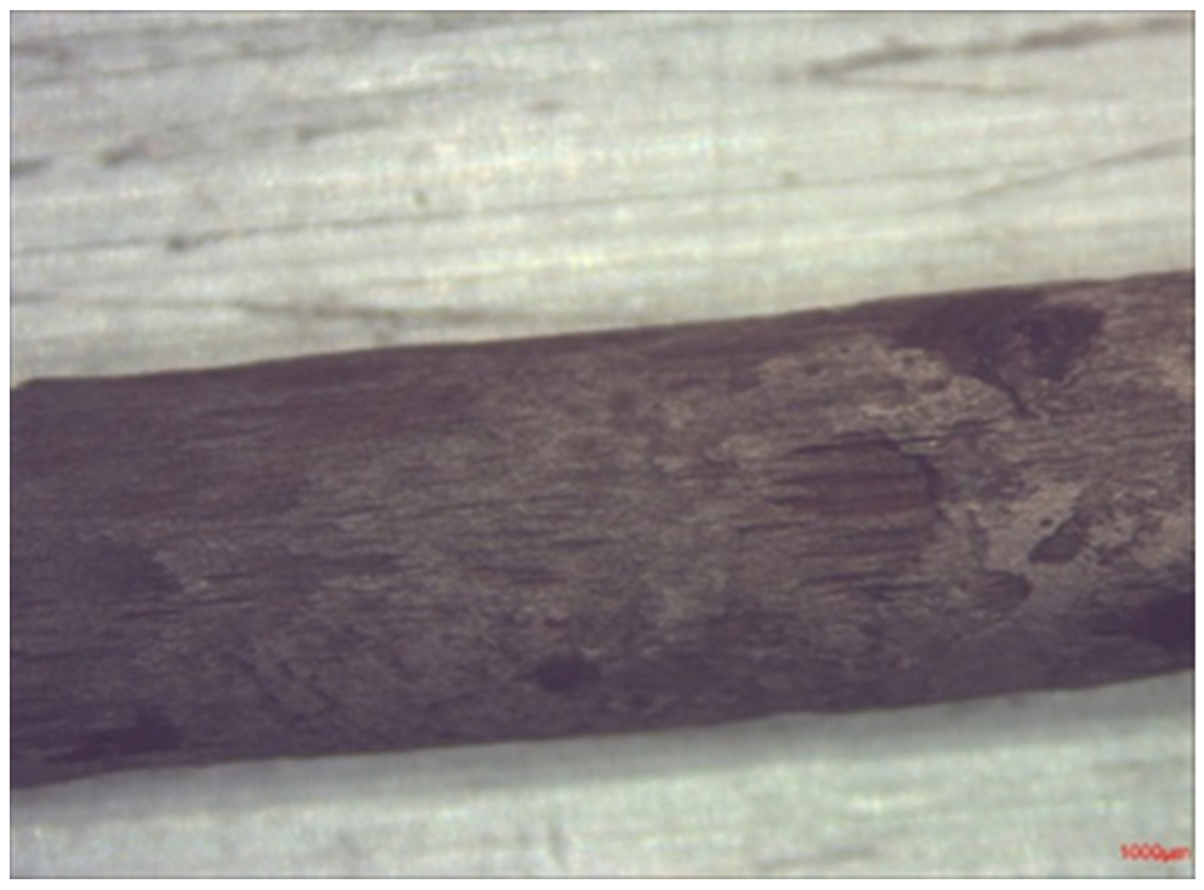 Materials 14 05392 g016 550