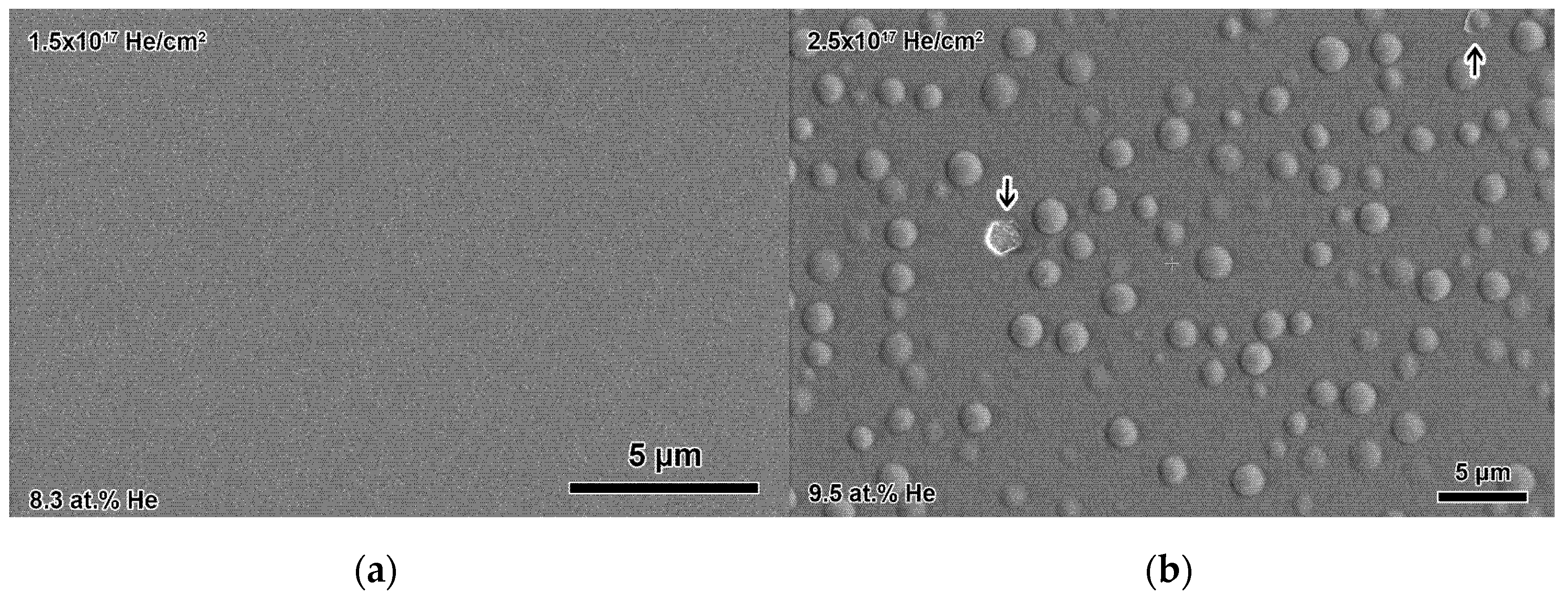 Materials 14 05393 g004 550