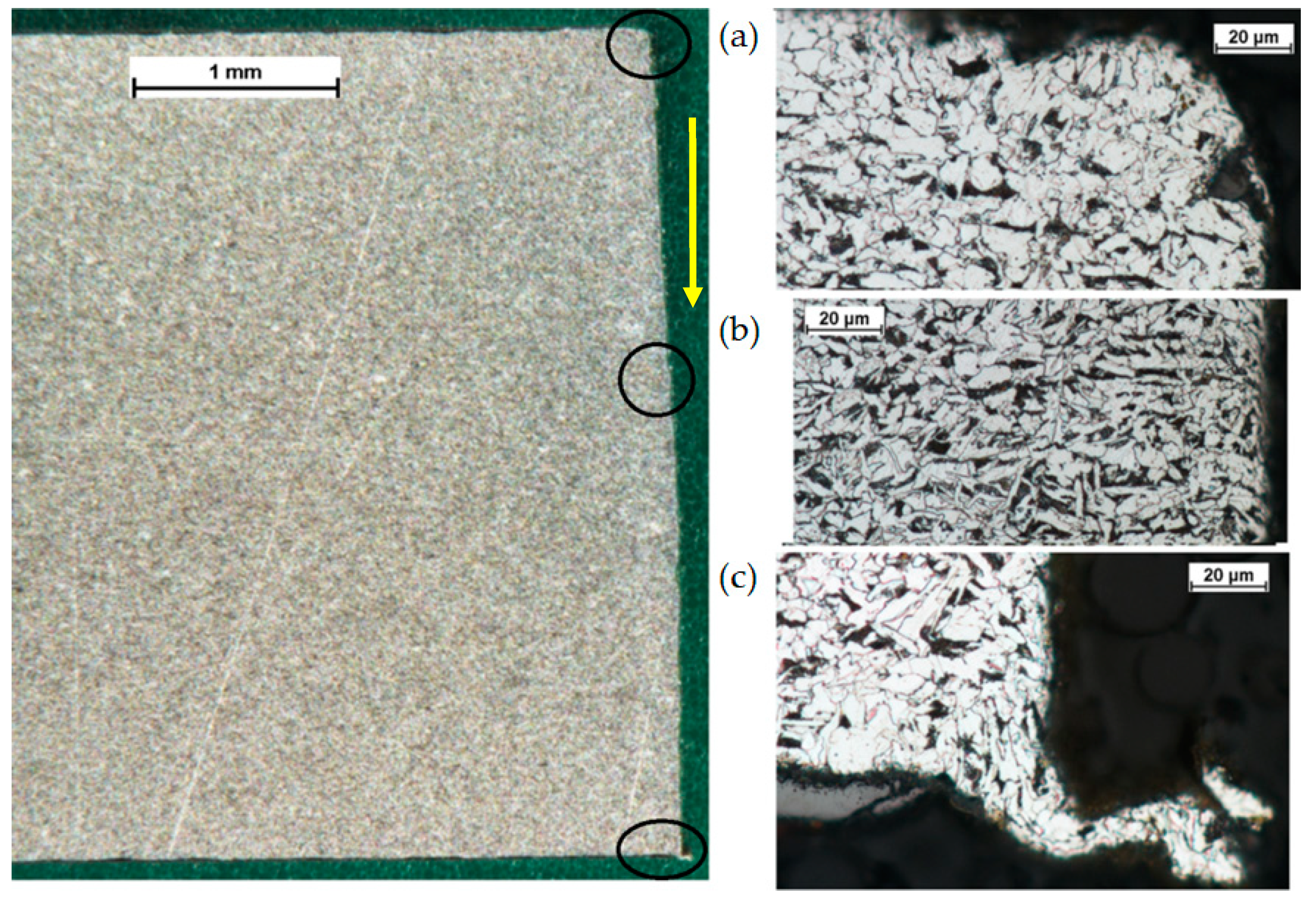 Materials 14 05399 g004 550