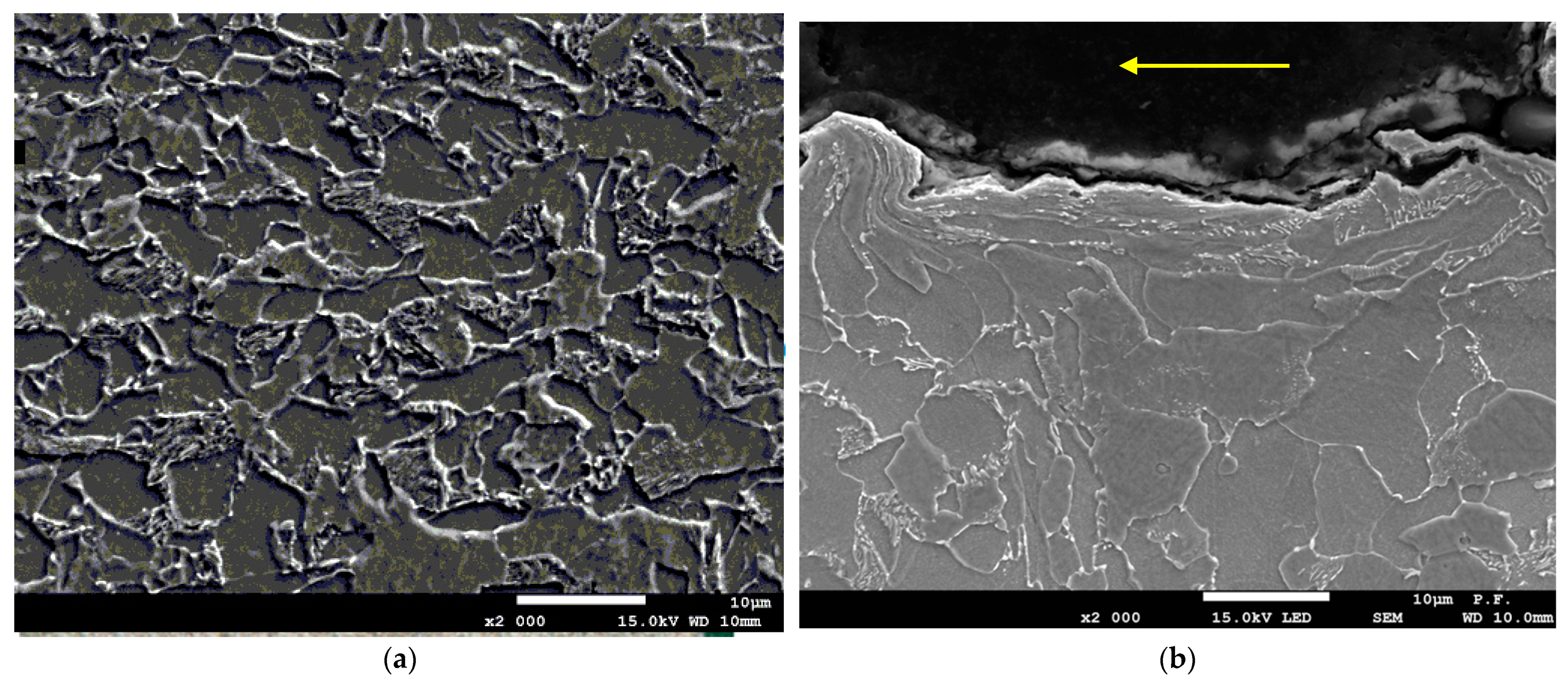 Materials 14 05399 g005 550