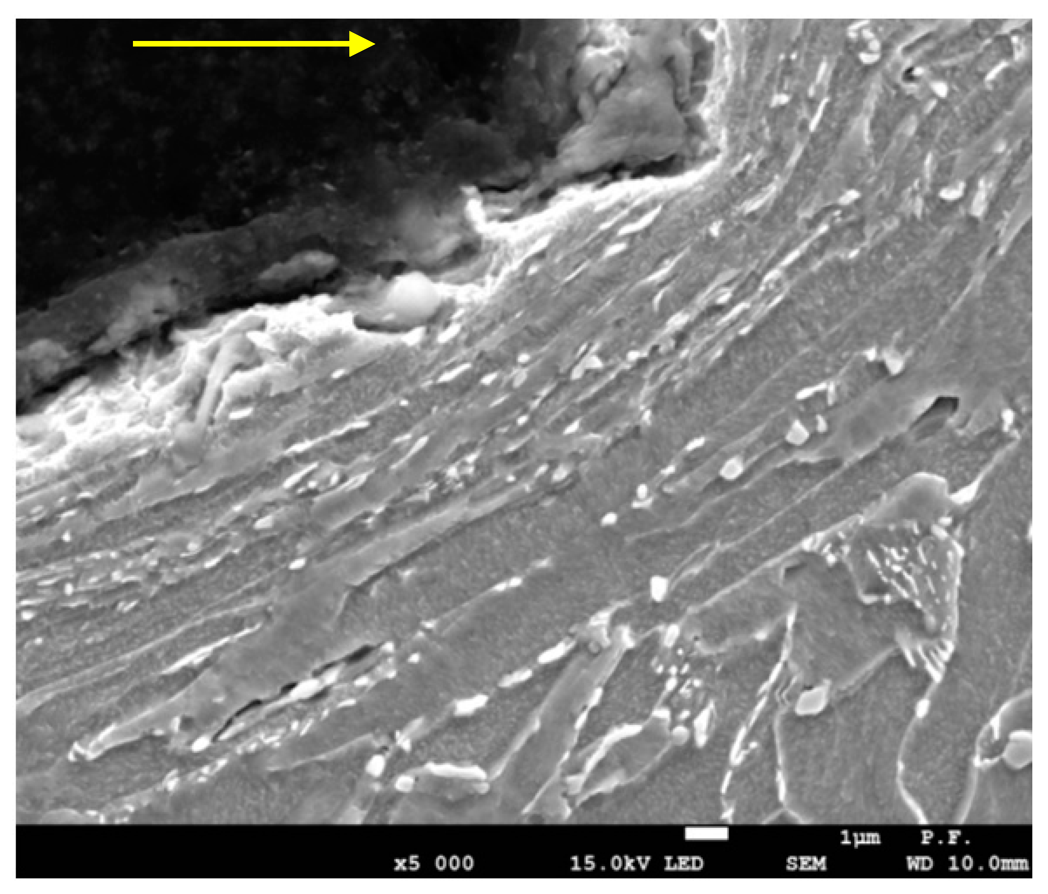 Materials 14 05399 g012 550