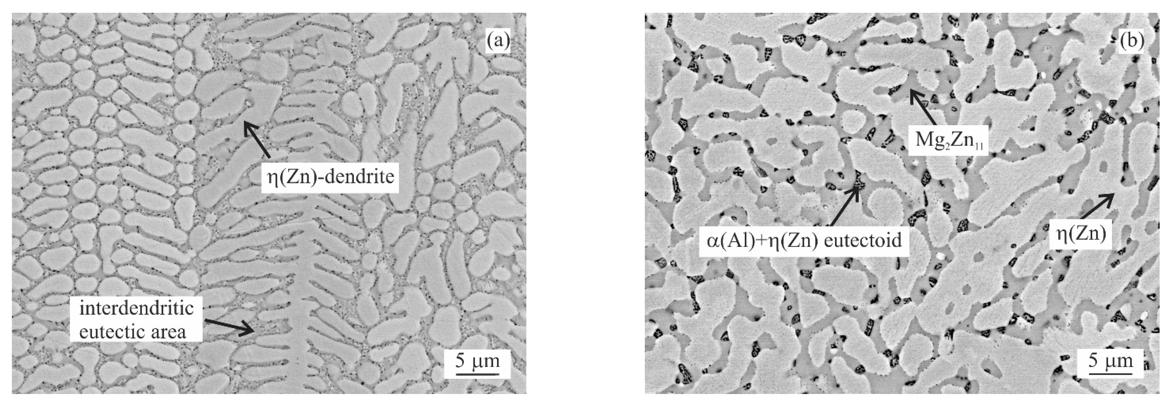 Materials 14 05404 g009a