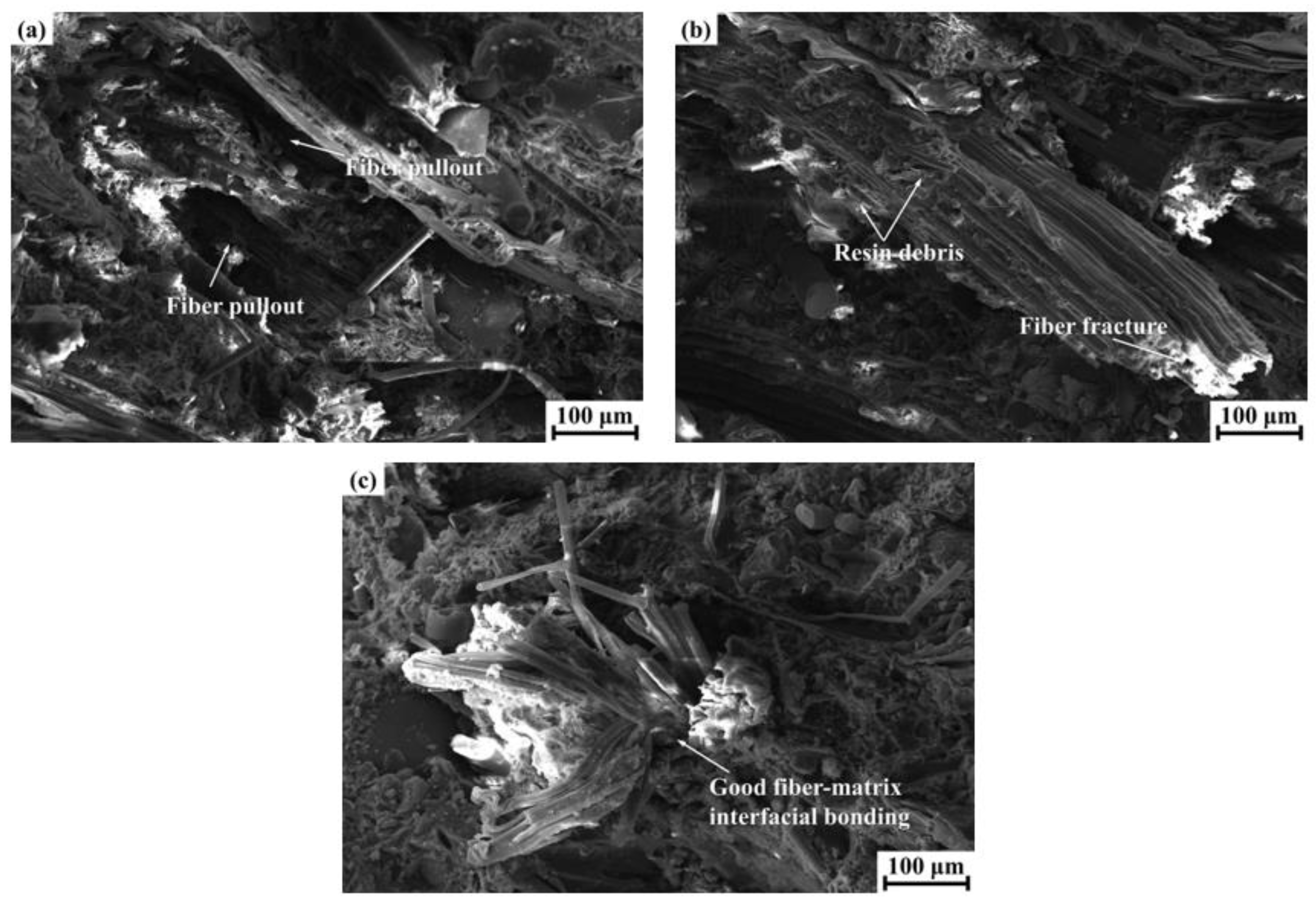 Materials 14 05410 g004 550