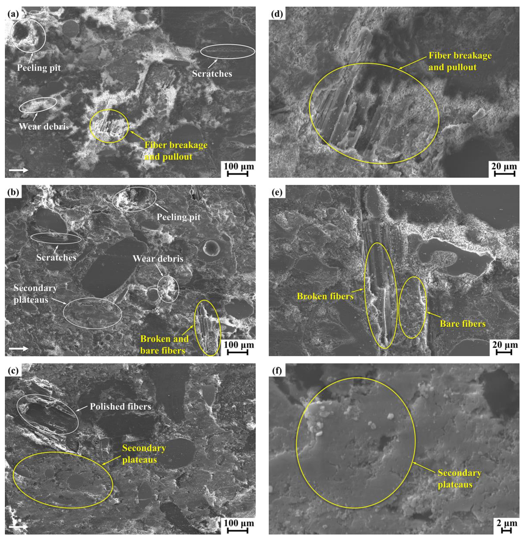Materials 14 05410 g007 550