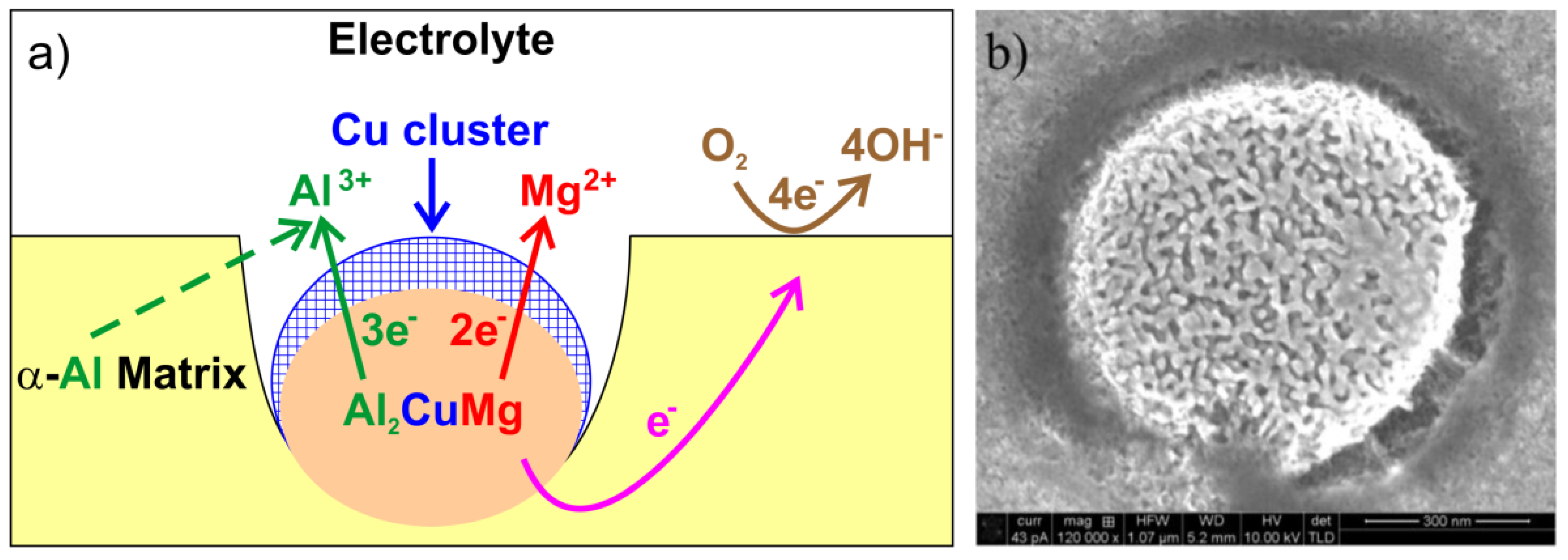 Materials 14 05418 g010