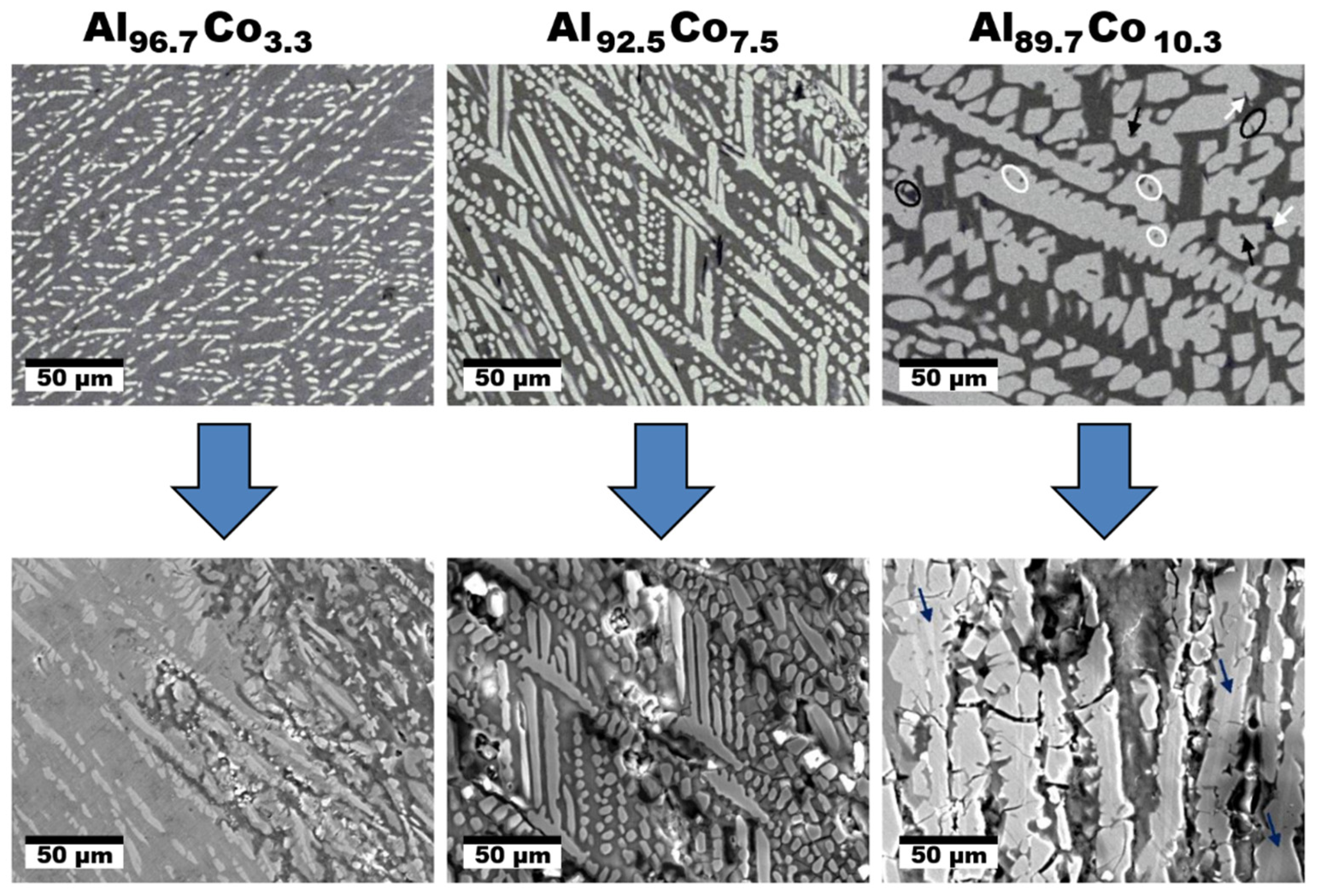 Materials 14 05418 g011