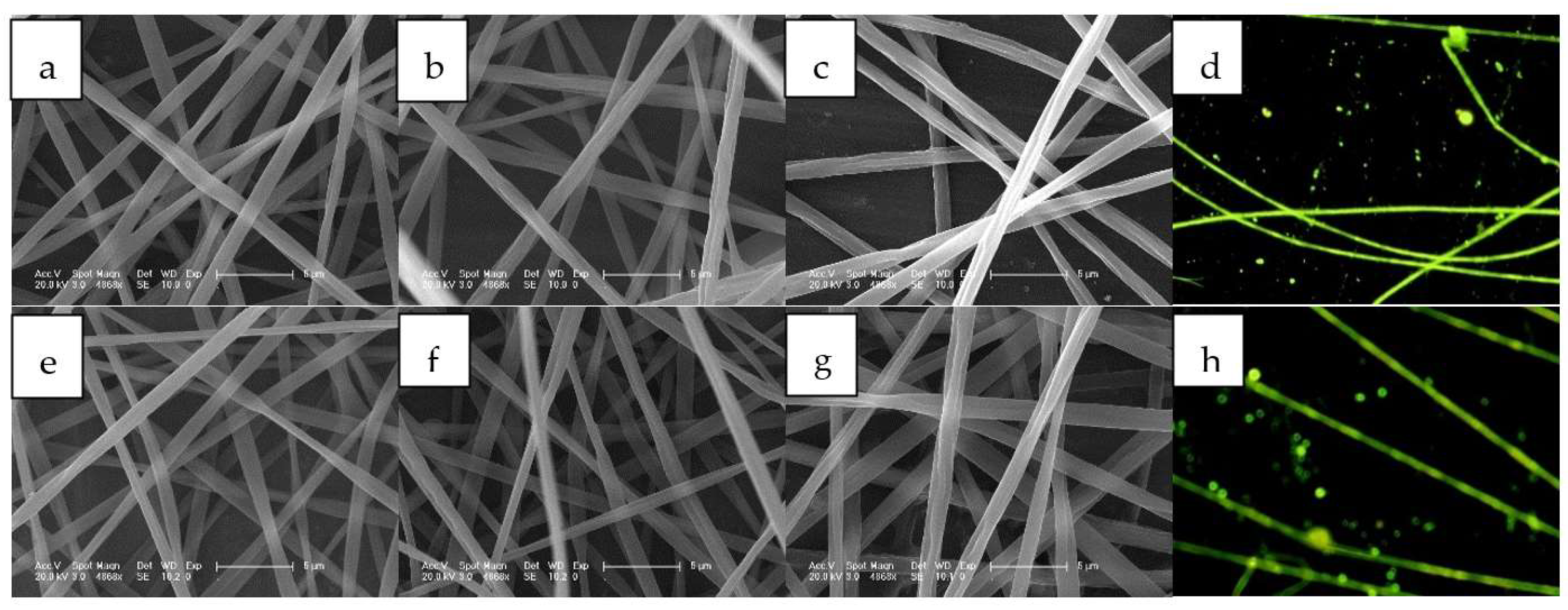 Materials 14 05419 g002 550