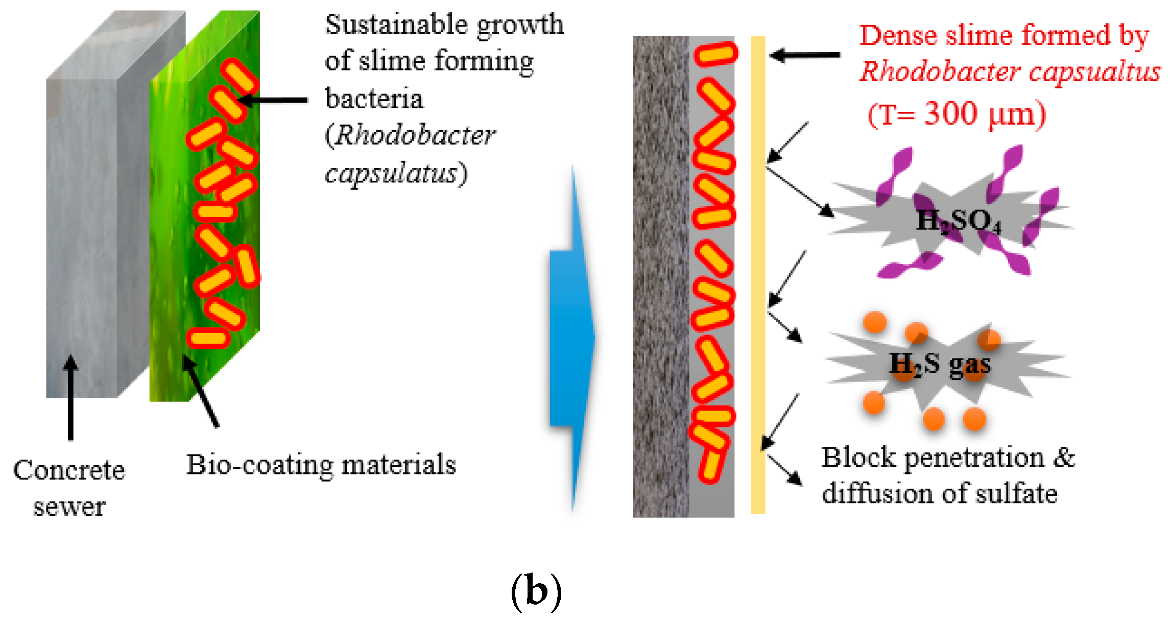 Materials 14 05424 g005b