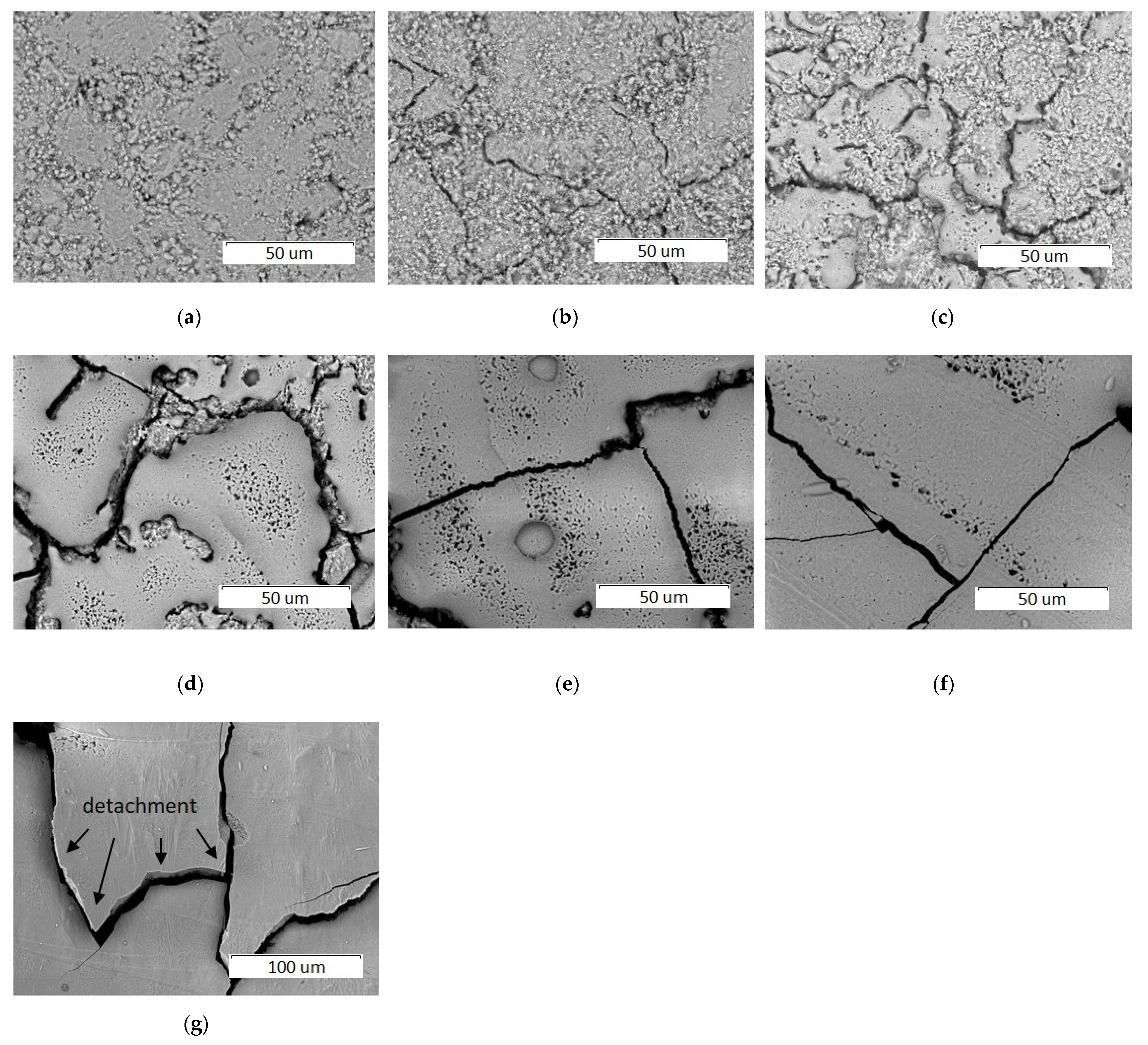 Materials 14 05425 g005 550