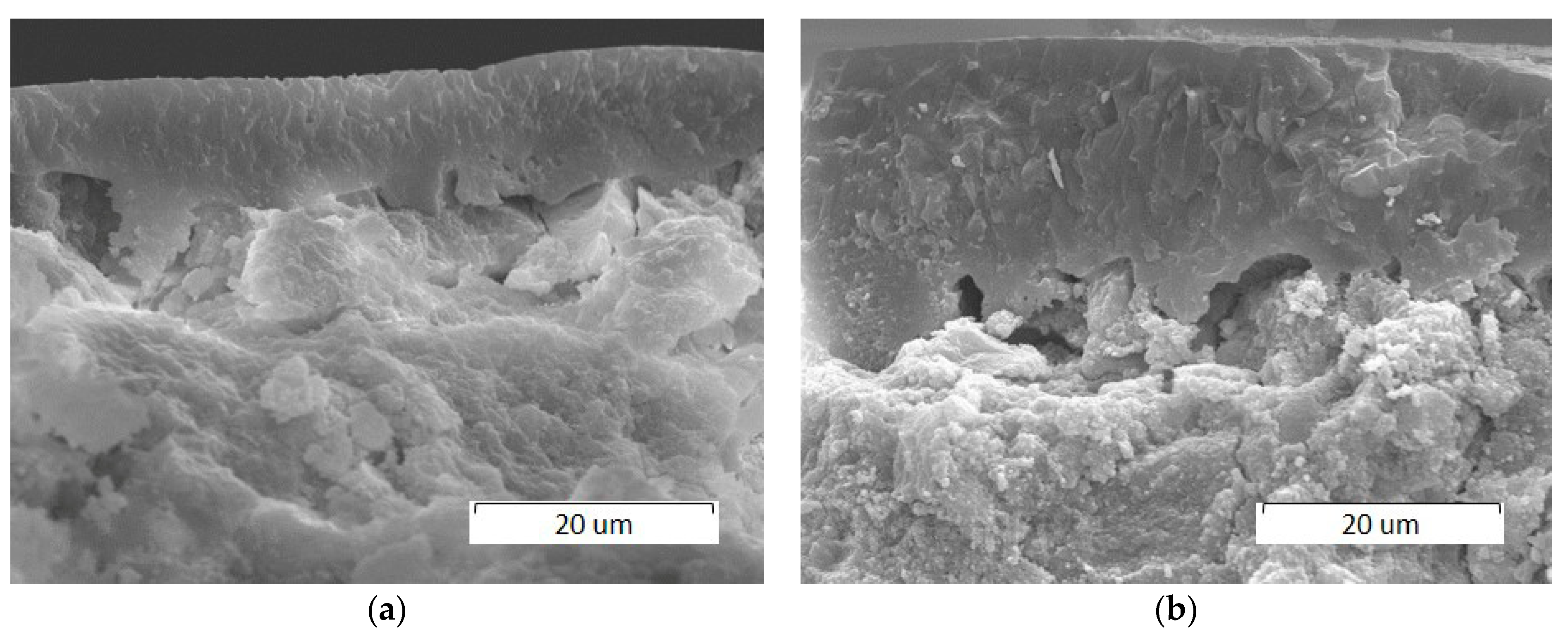 Materials 14 05425 g006 550