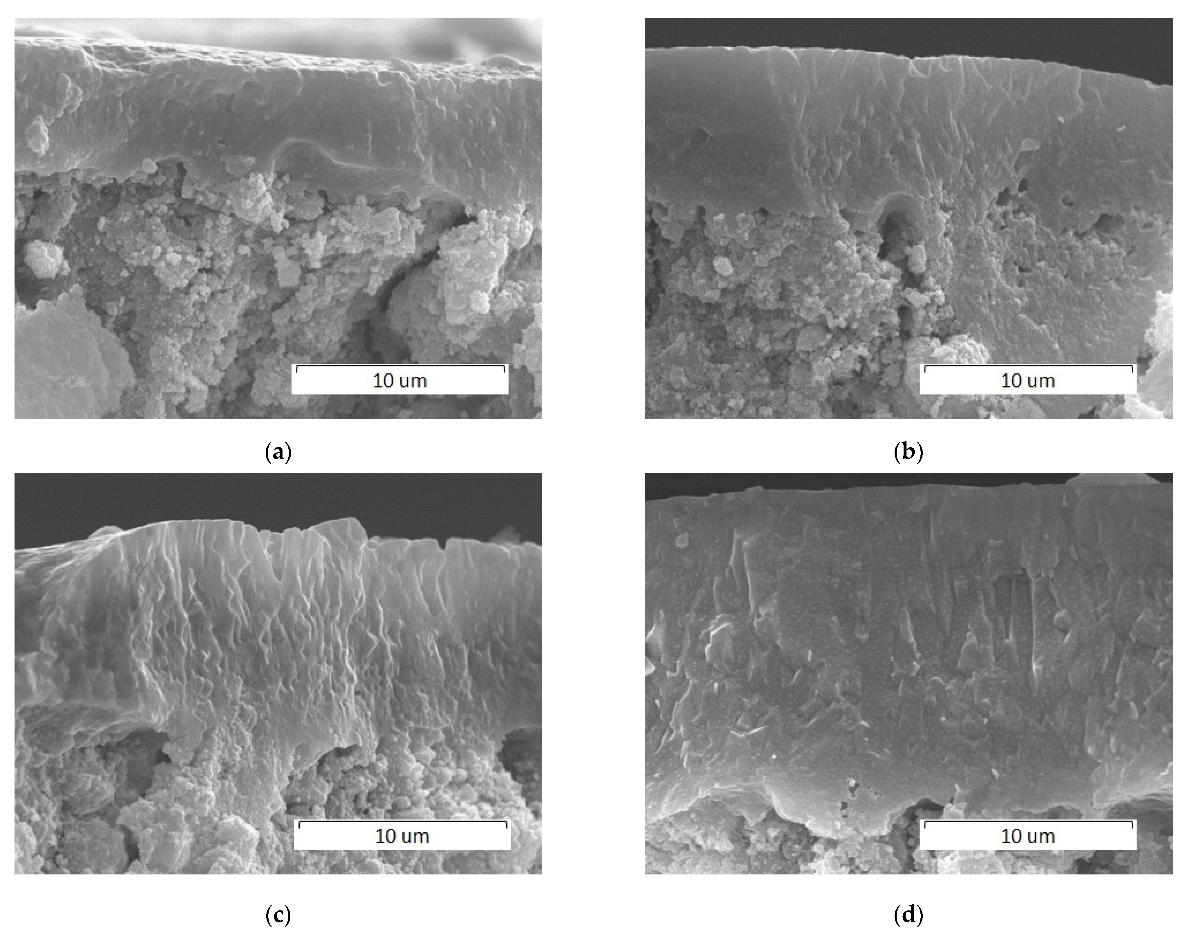 Materials 14 05425 g010 550
