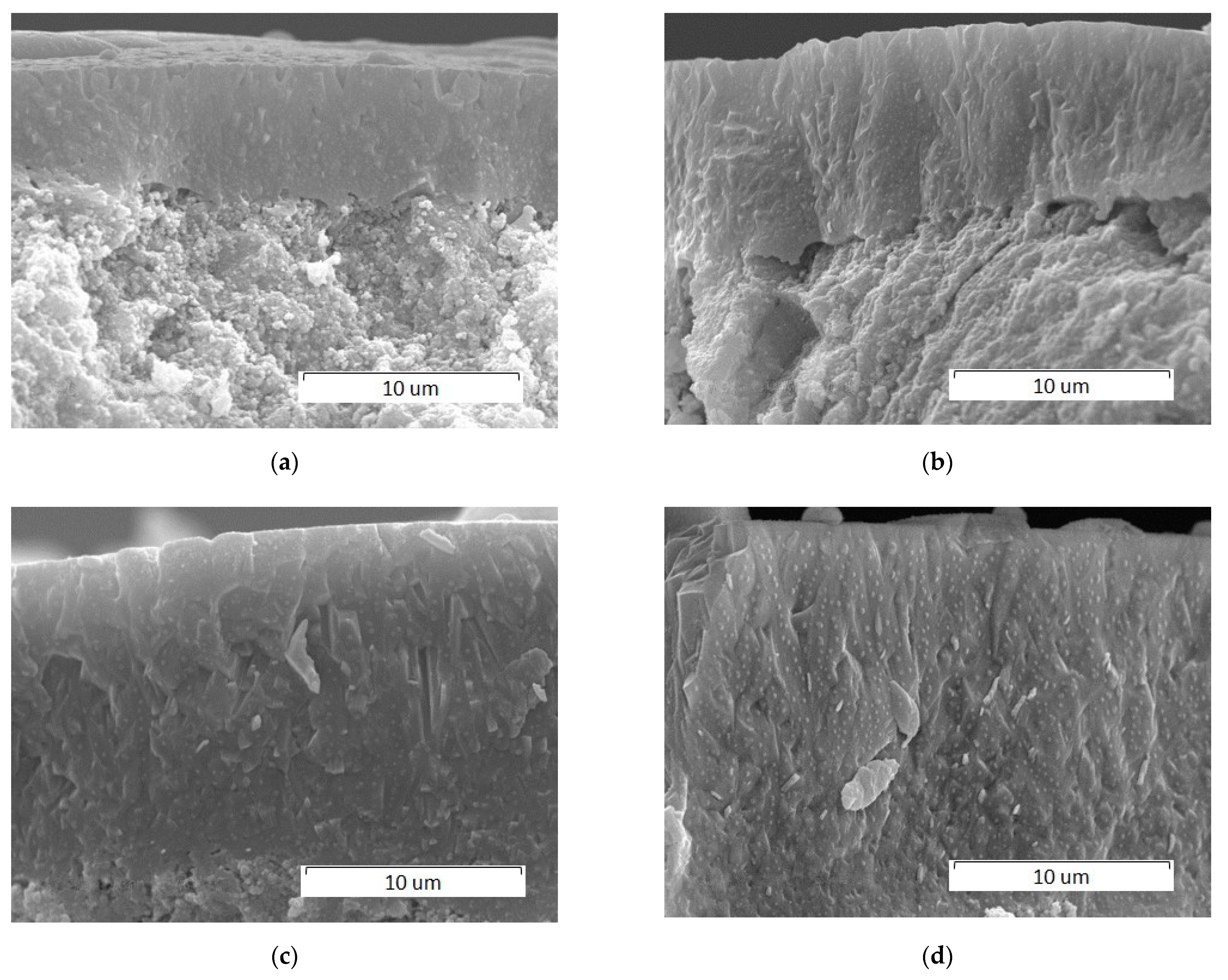 Materials 14 05425 g011 550