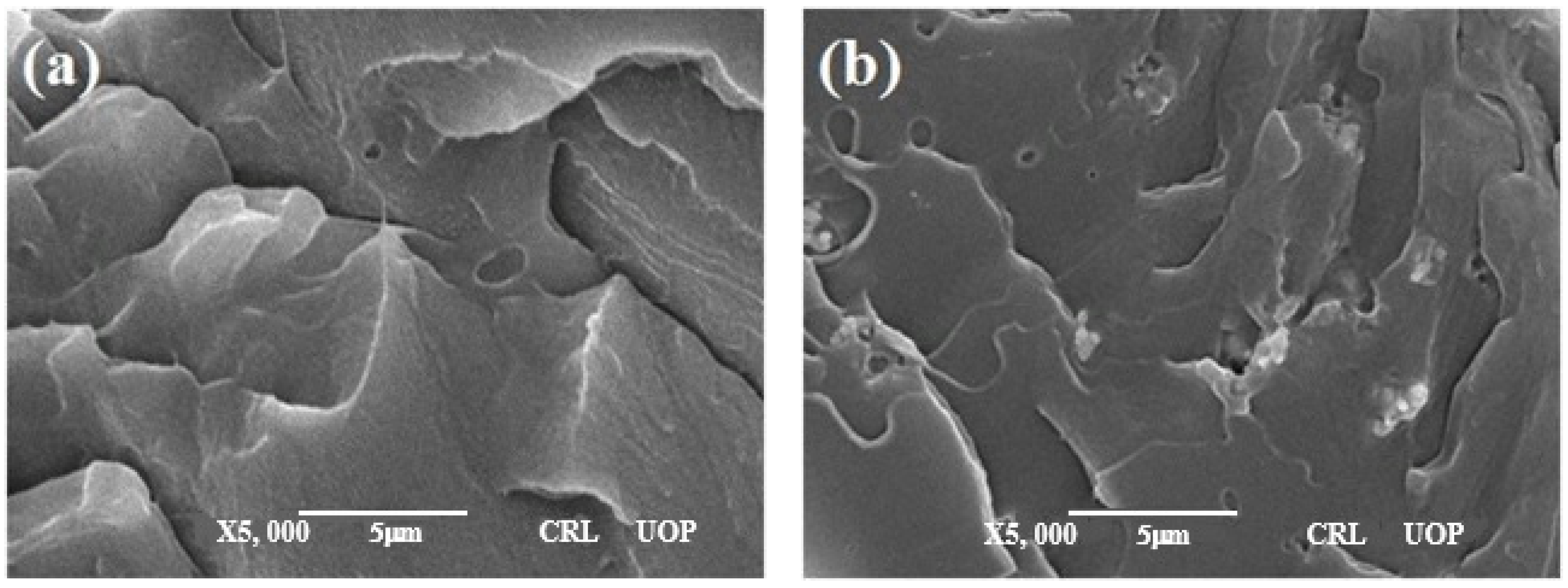 Materials 14 05430 g003a