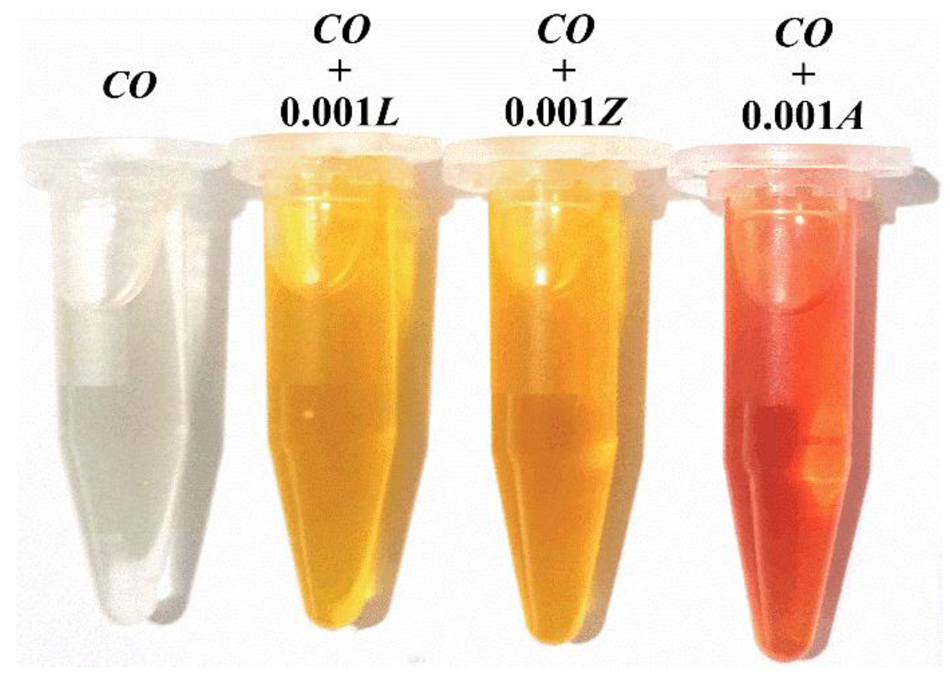 Materials 14 05431 g001