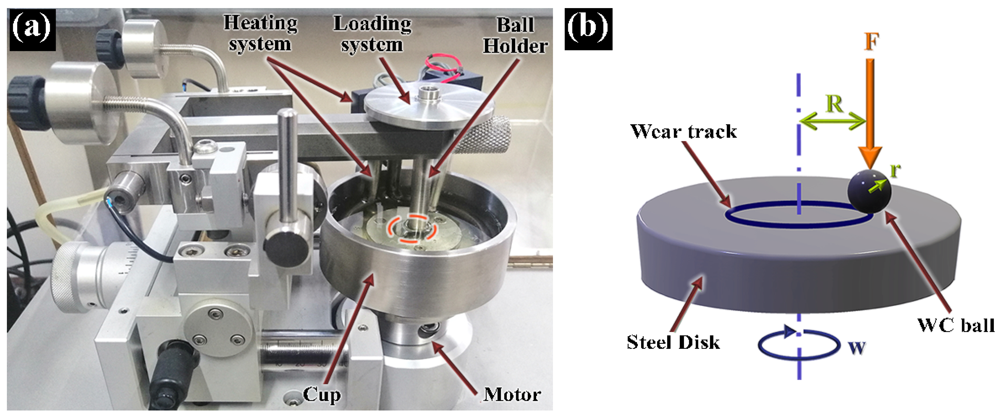 Materials 14 05431 g002