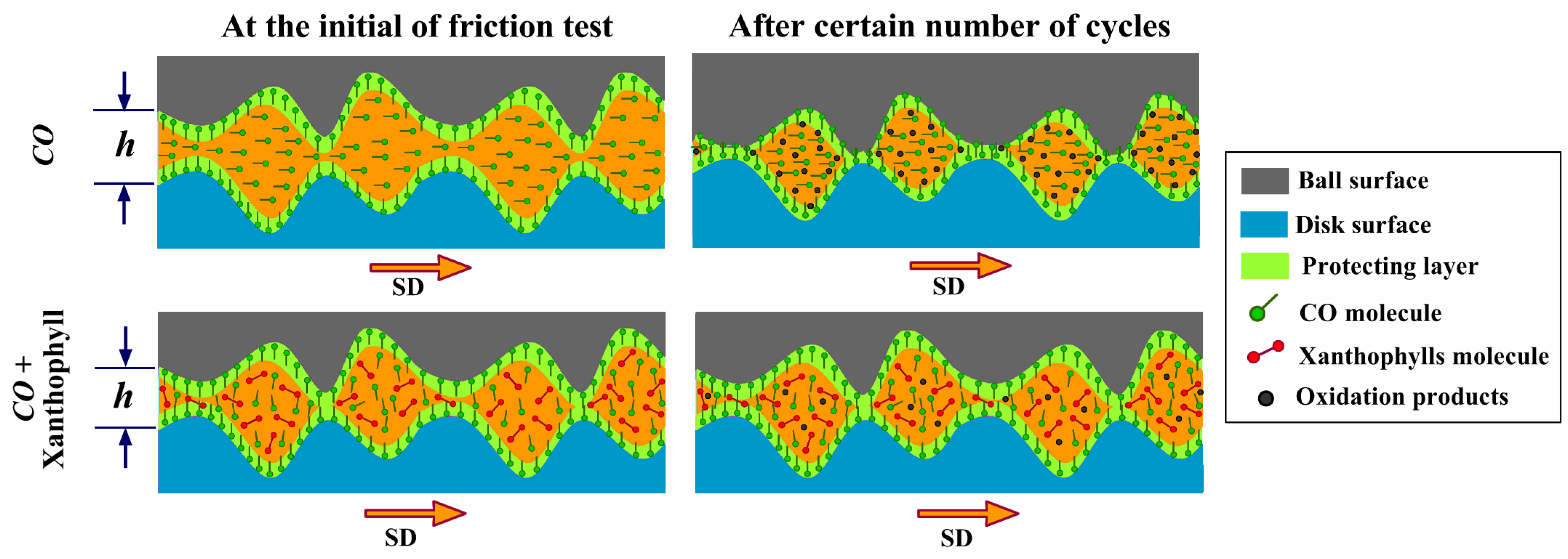 Materials 14 05431 g013