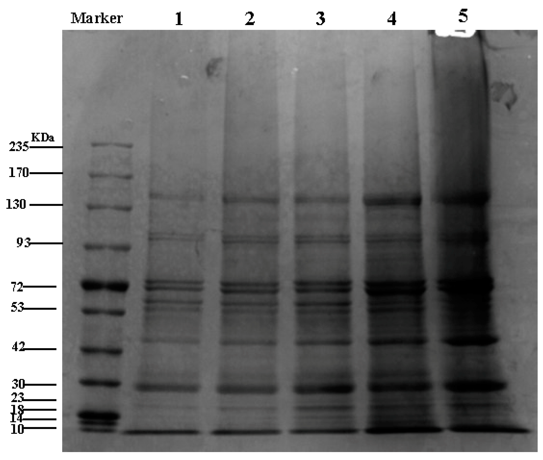 Materials 14 05436 g001