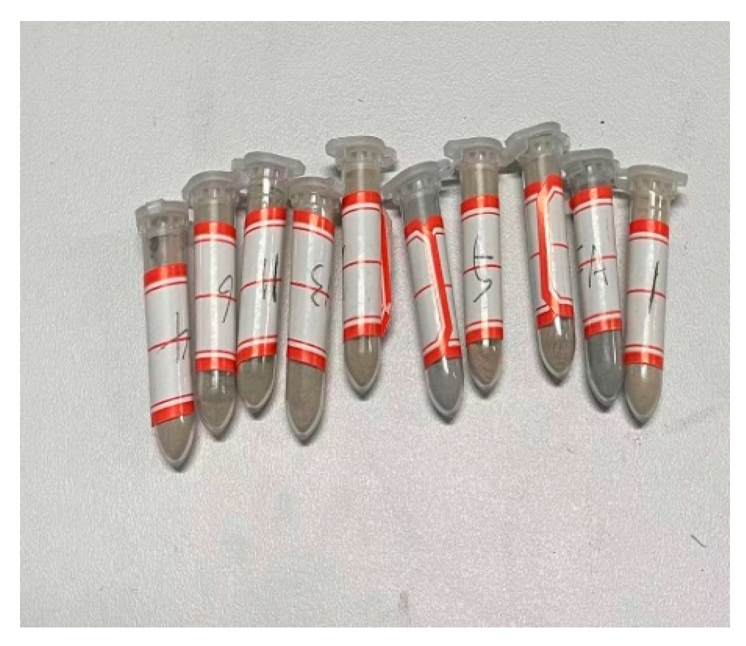 Materials 14 05441 g004