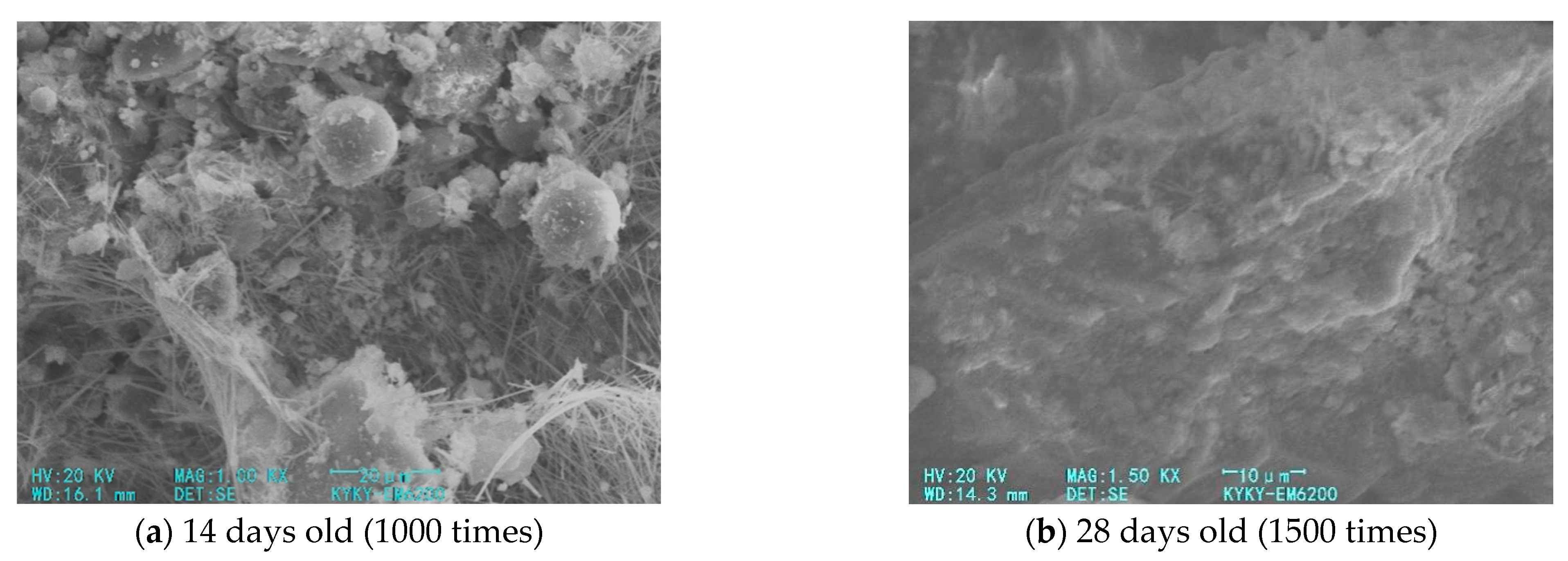 Materials 14 05441 g010