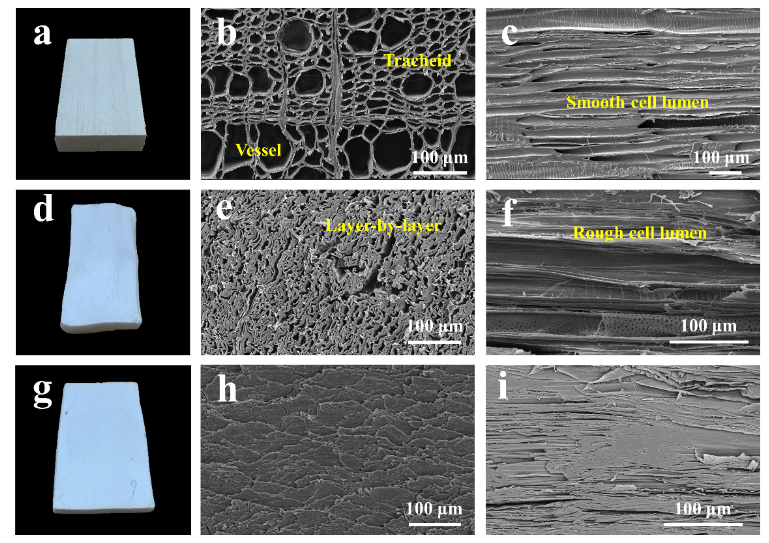 Materials 14 05444 g003