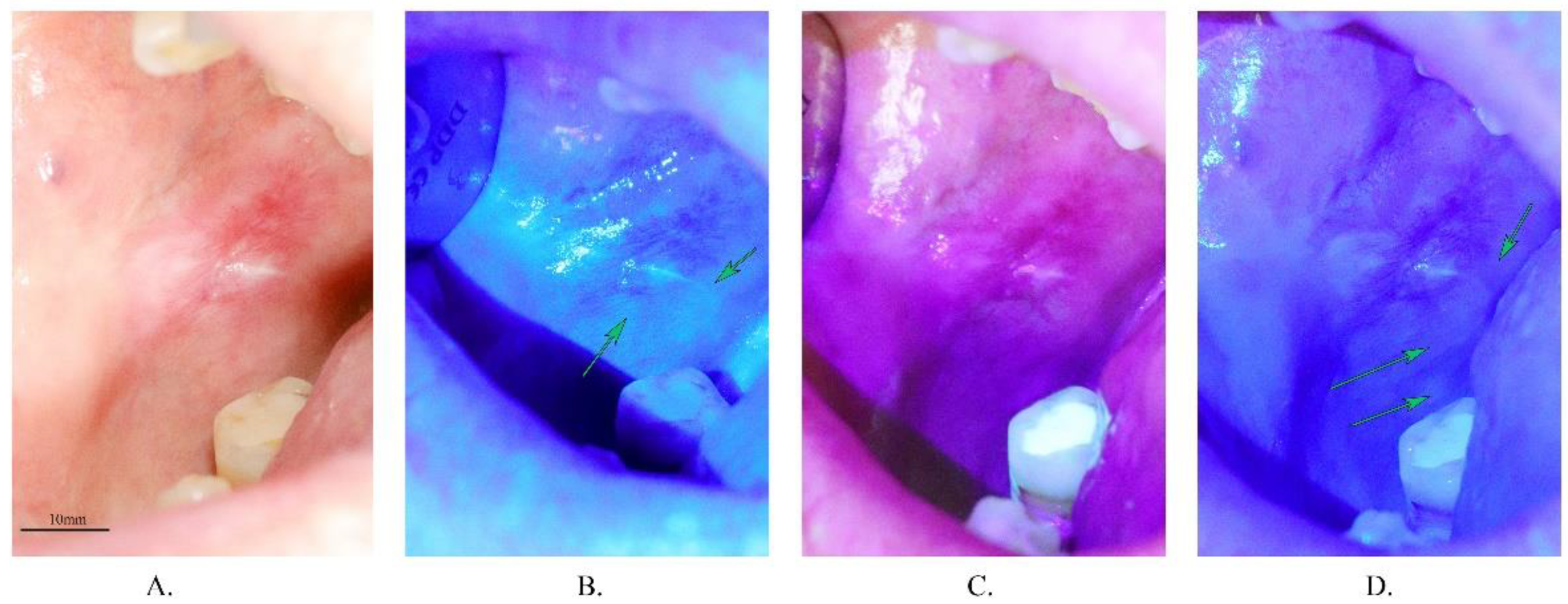 Materials 14 05448 g004 550