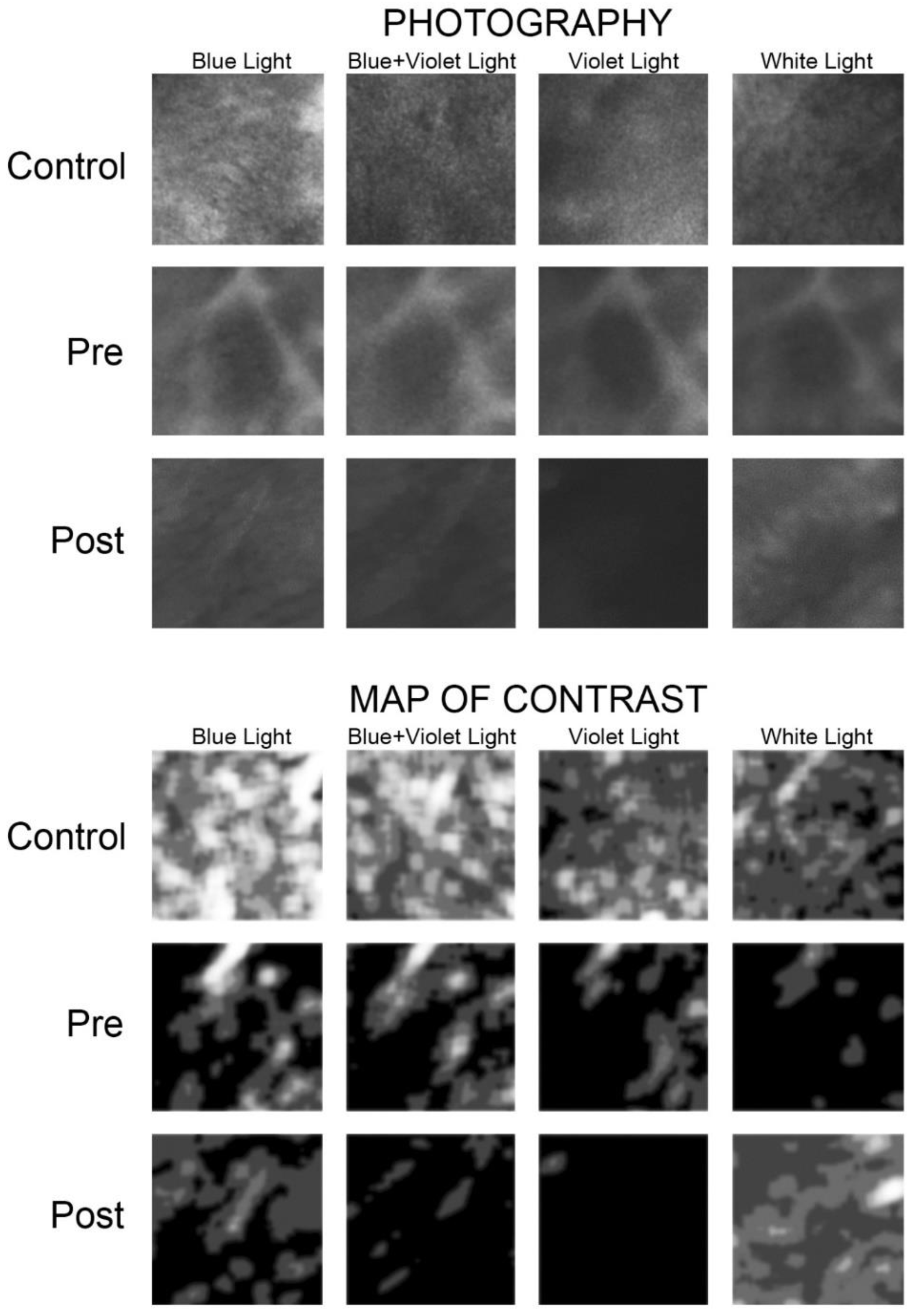 Materials 14 05448 g006 550