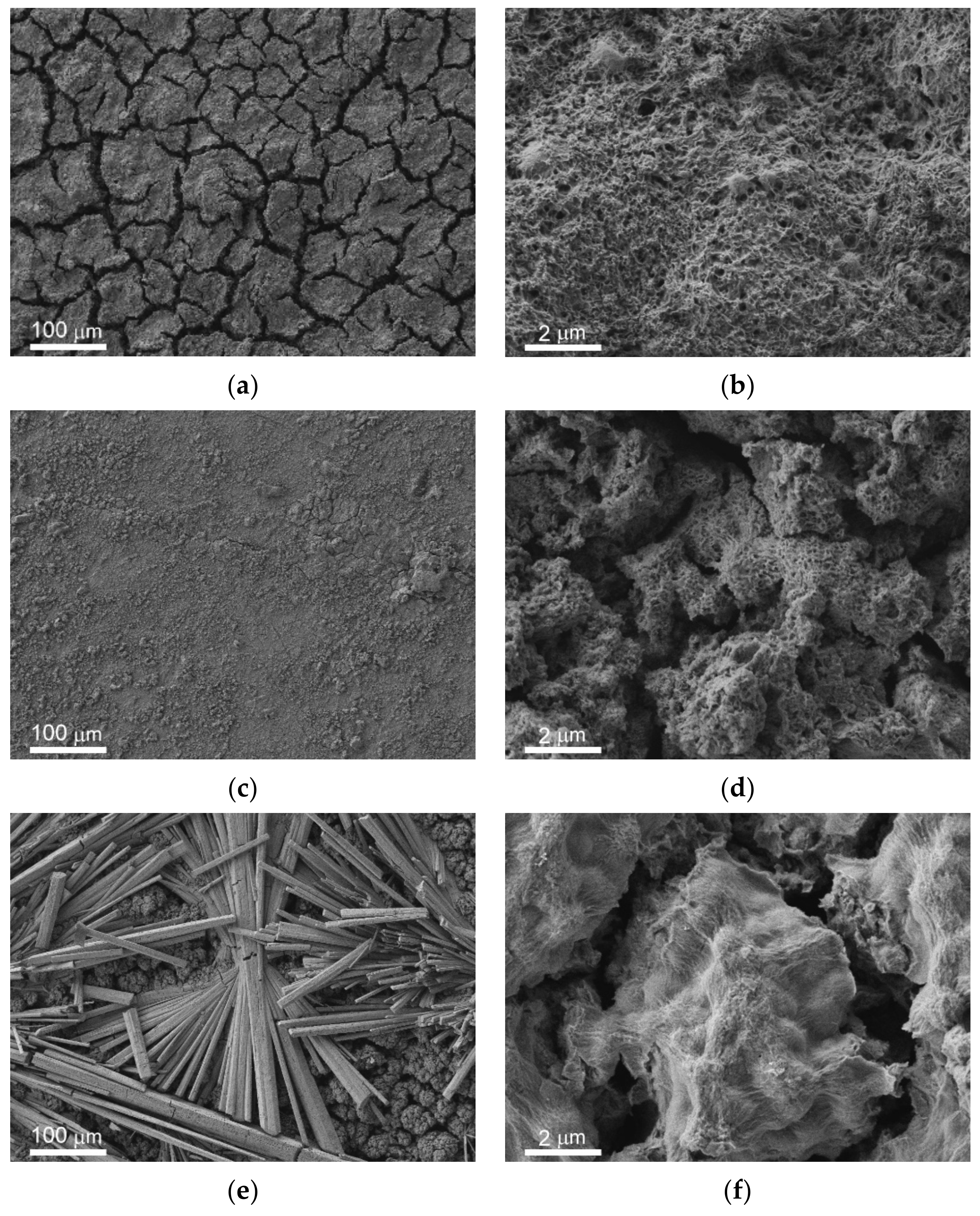 Materials 14 05454 g002a