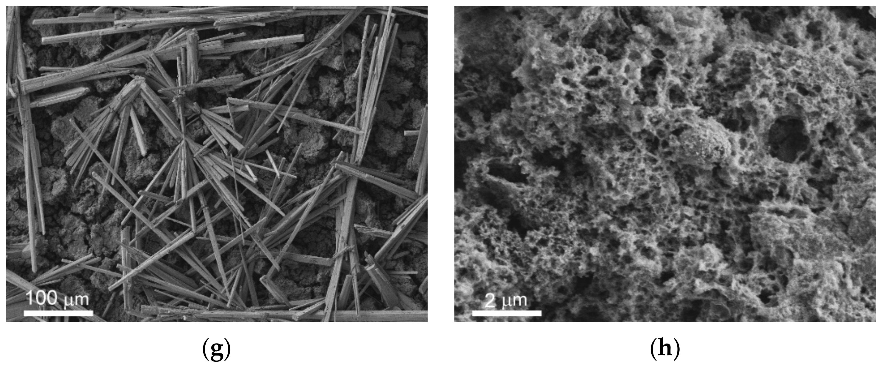 Materials 14 05454 g002b