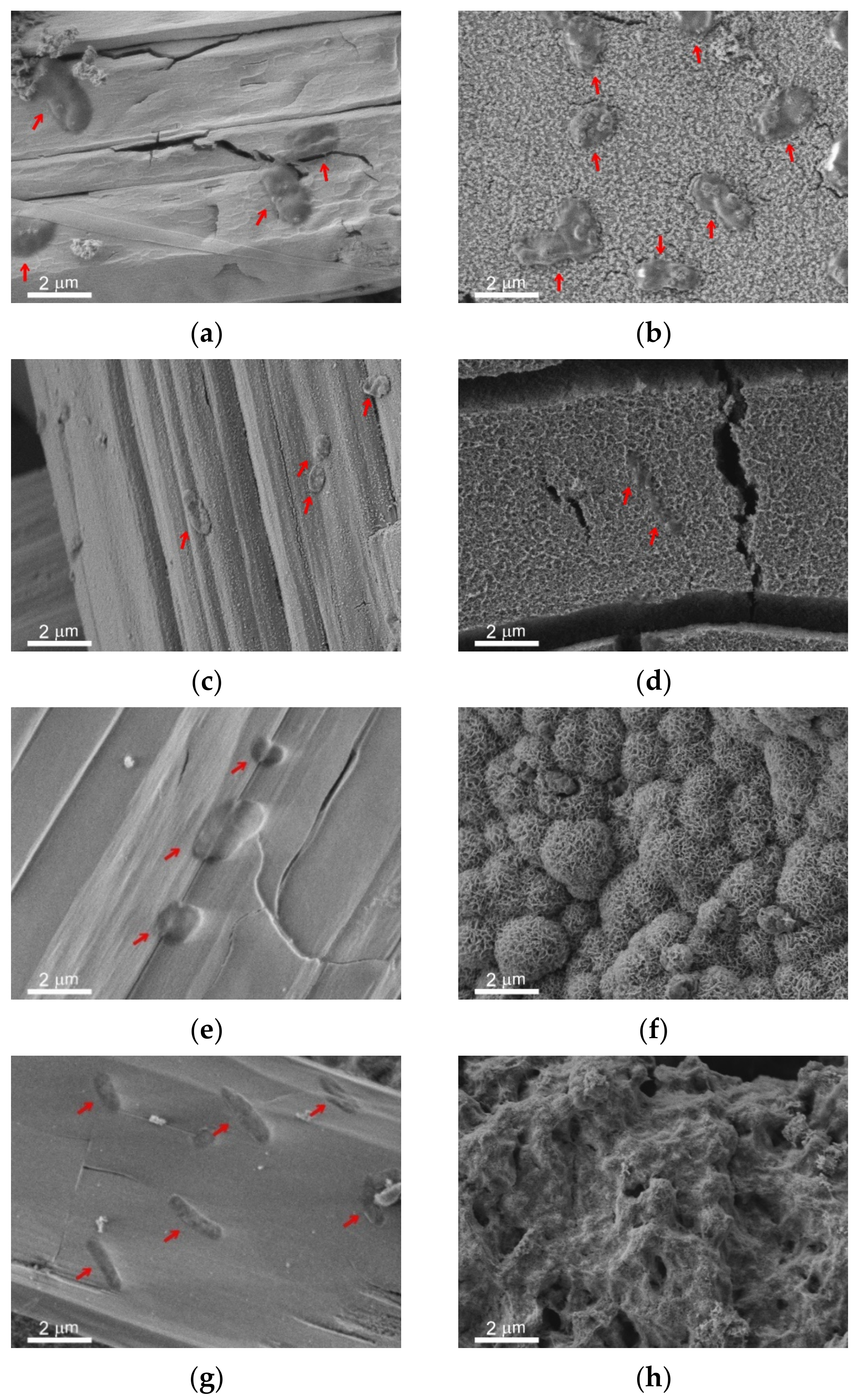 Materials 14 05454 g006a