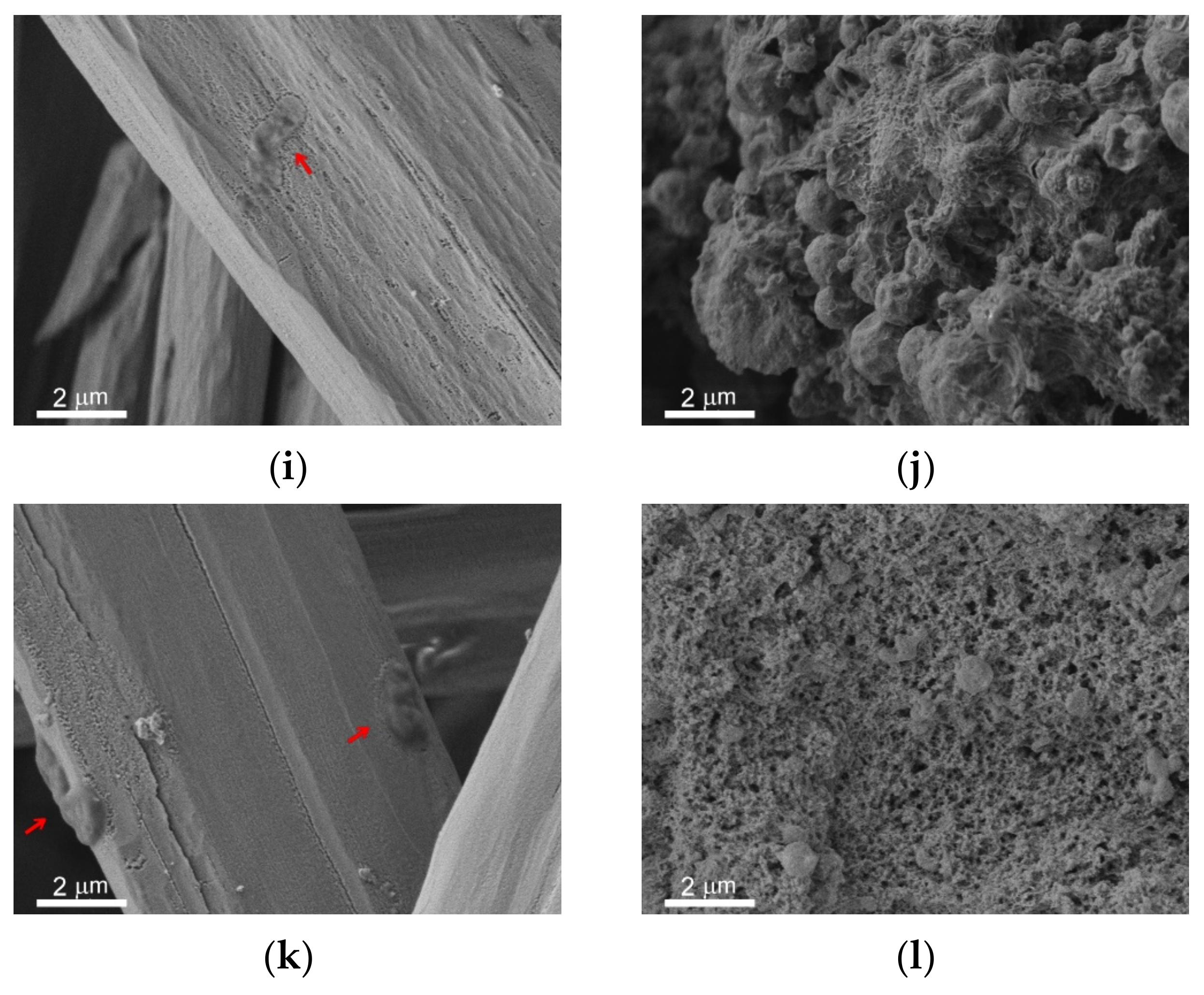 Materials 14 05454 g006b