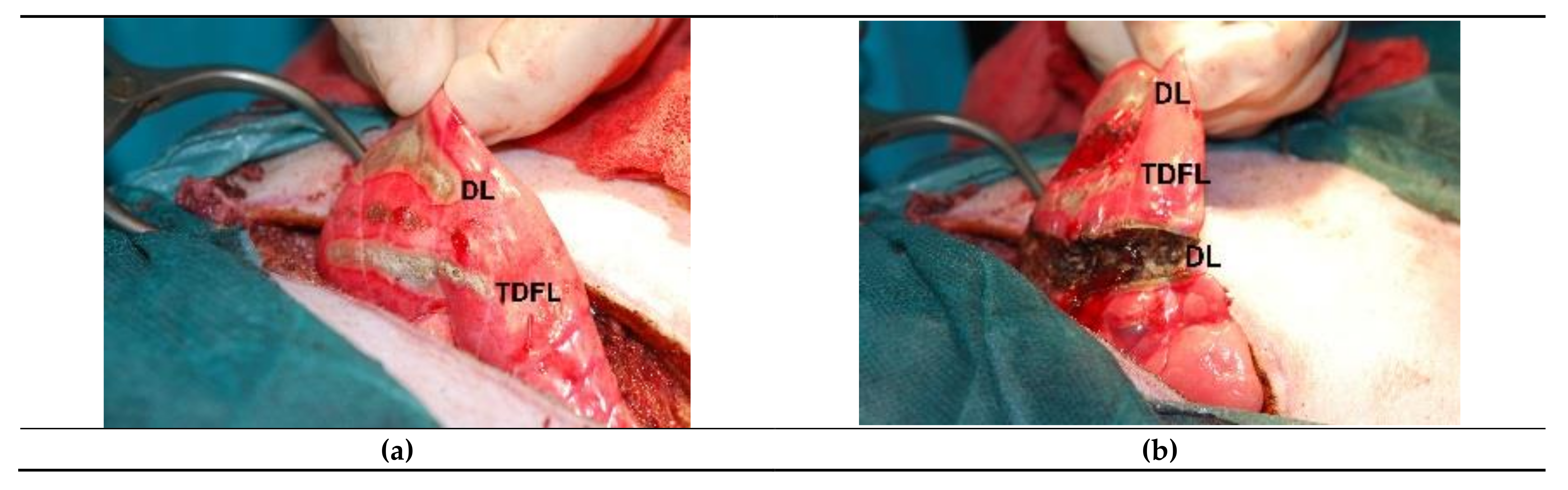 Materials 14 05457 g001 Materials 14 05457 g001