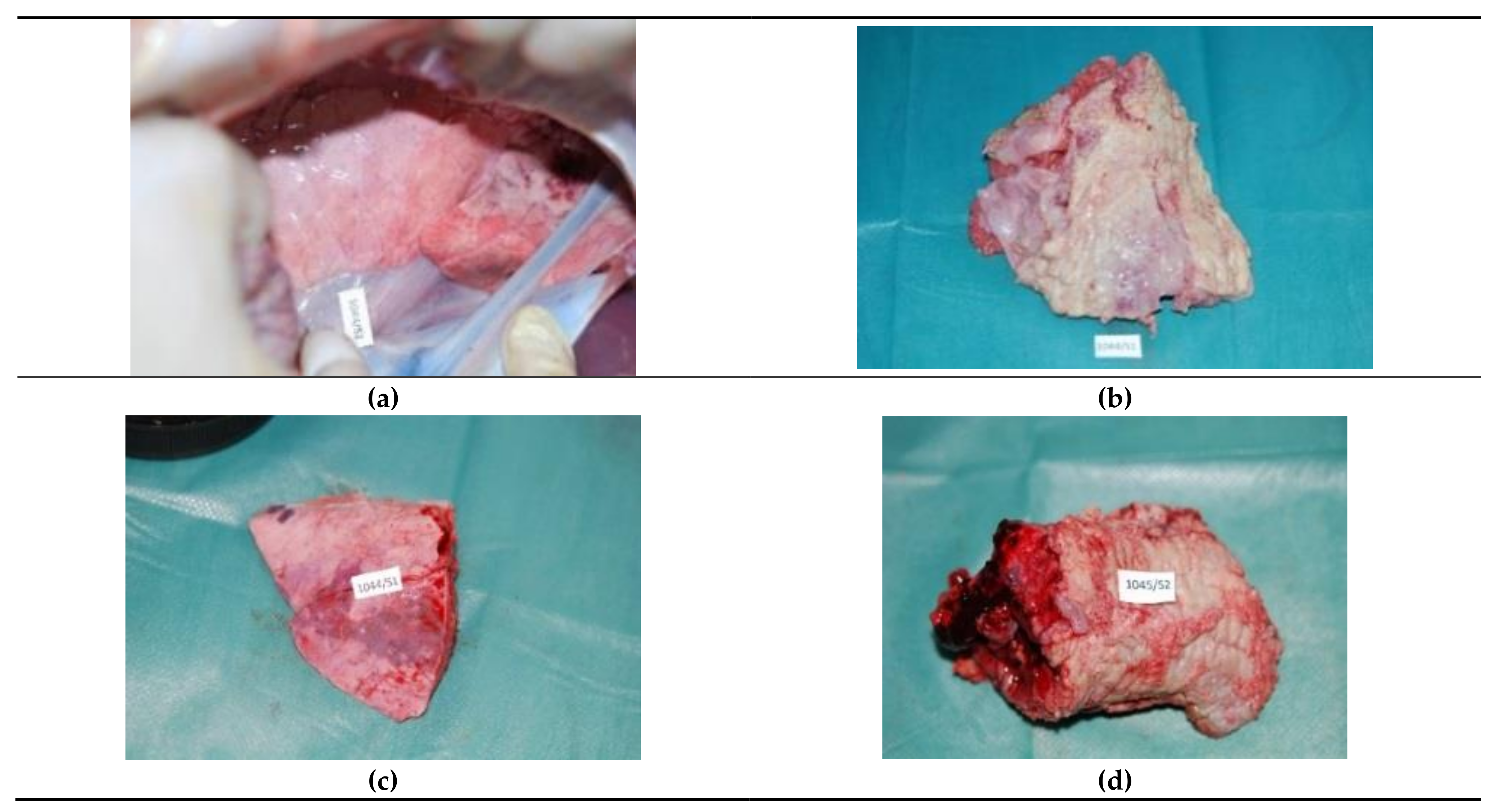 Materials 14 05457 g002 Materials 14 05457 g002