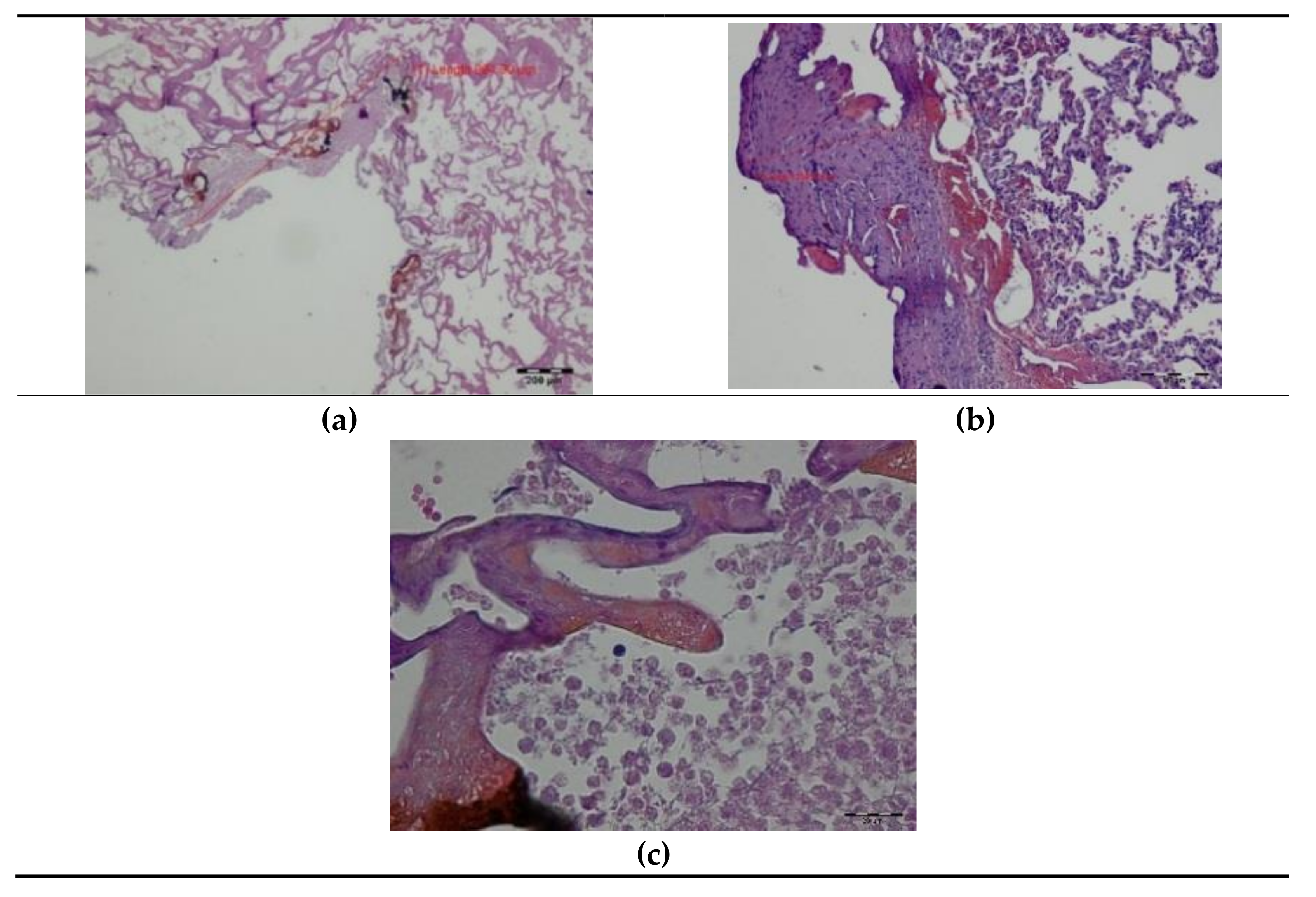 Materials 14 05457 g003 Materials 14 05457 g003