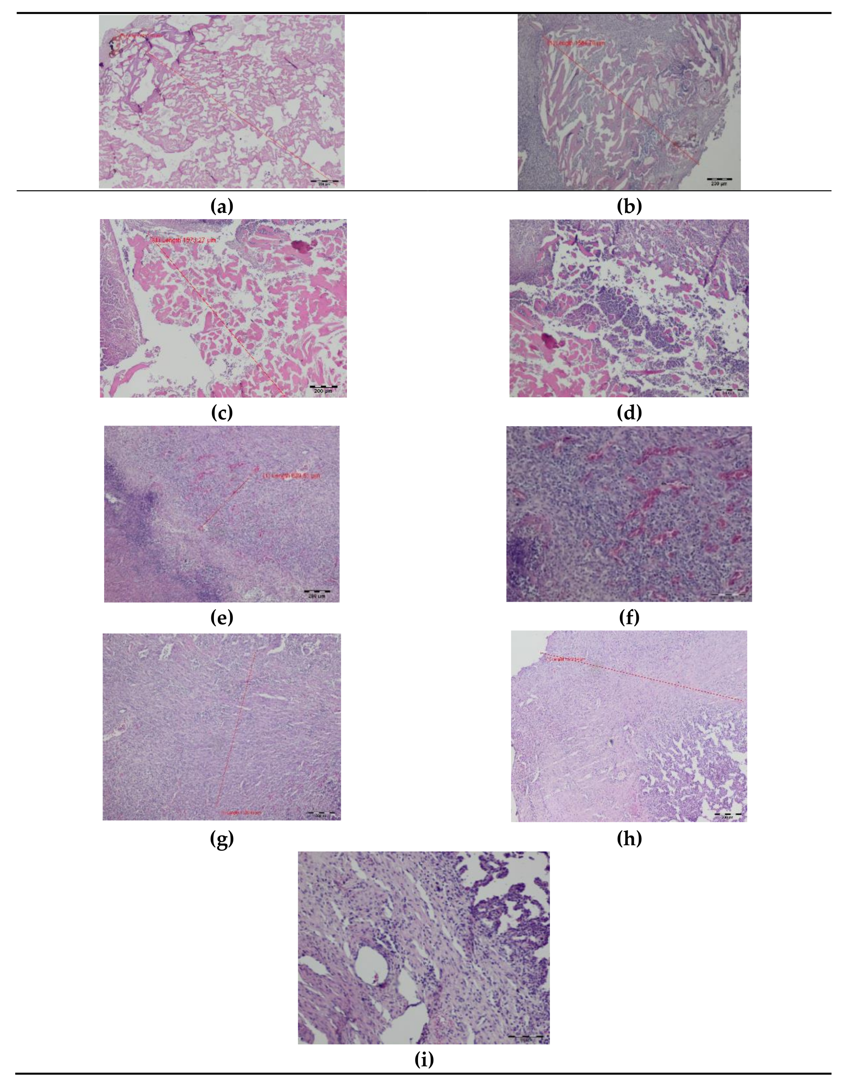 Materials 14 05457 g004 Materials 14 05457 g004