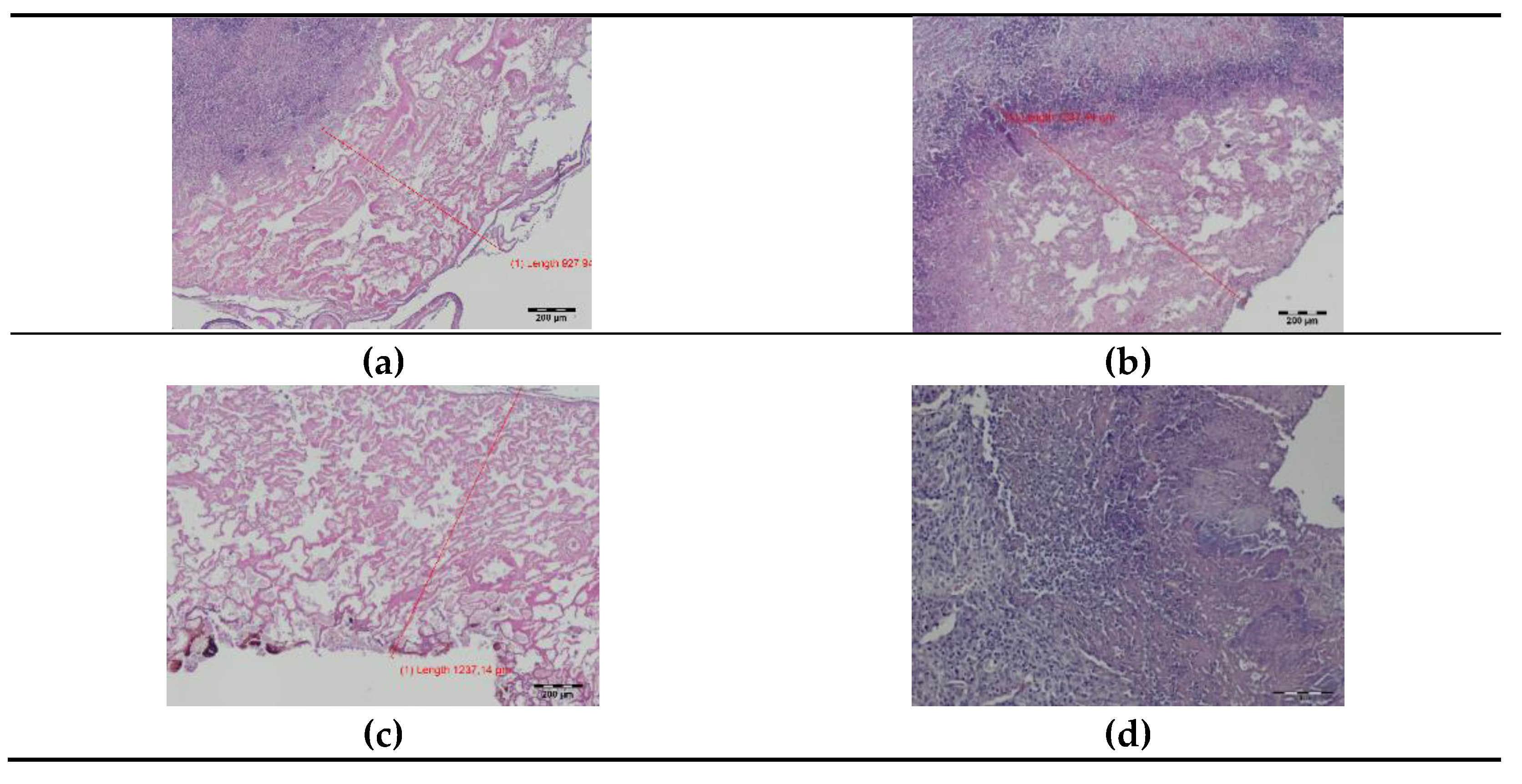 Materials 14 05457 g006a Materials 14 05457 g006a