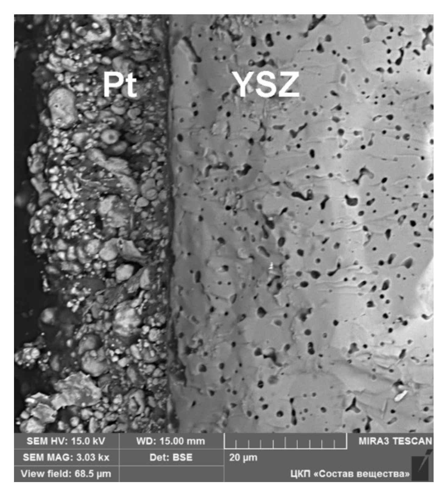 Materials 14 05463 g001 550