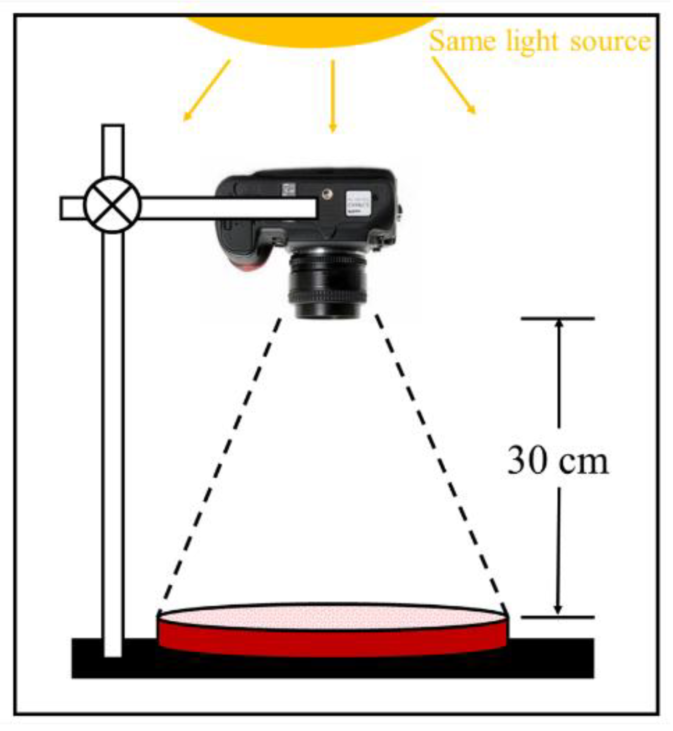 Materials 14 05464 g002