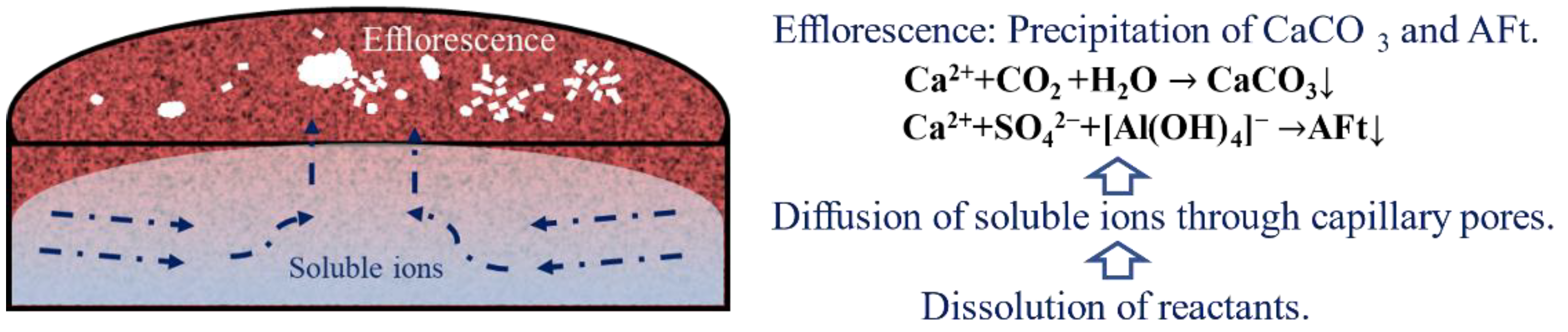 Materials 14 05464 g008