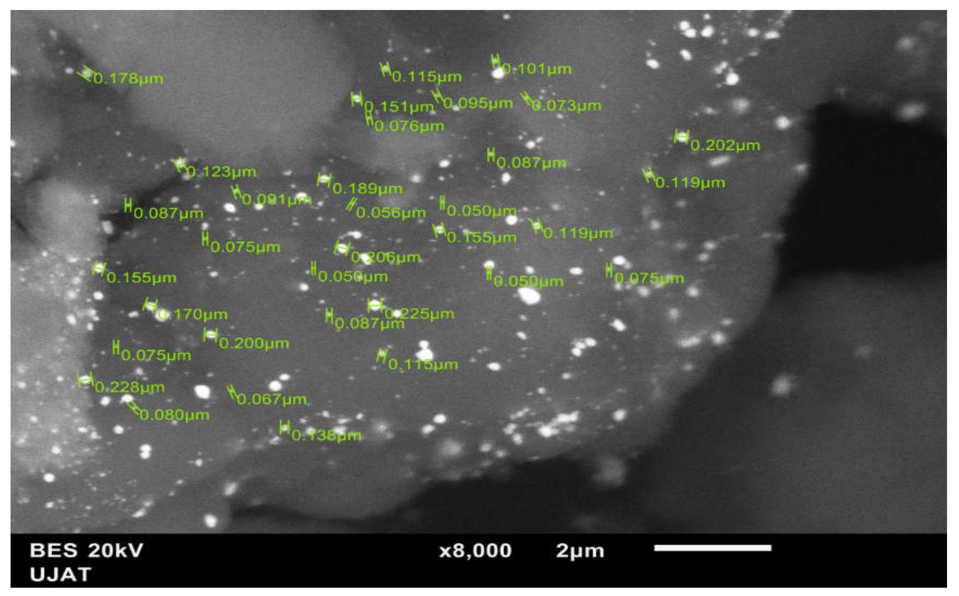 Materials 14 05470 g009