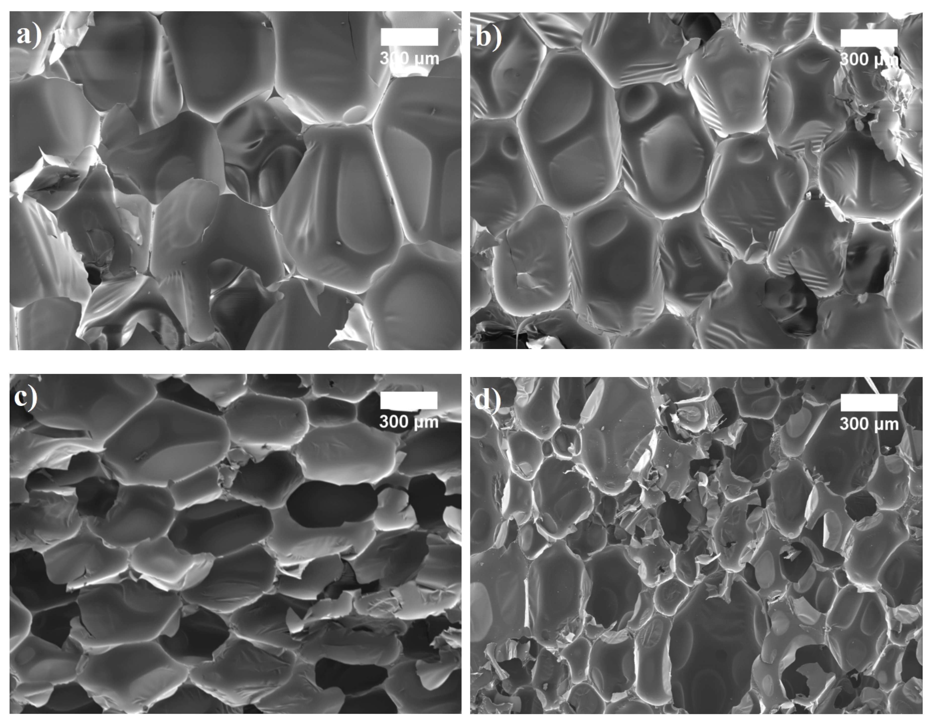 Materials 14 05475 g004 550