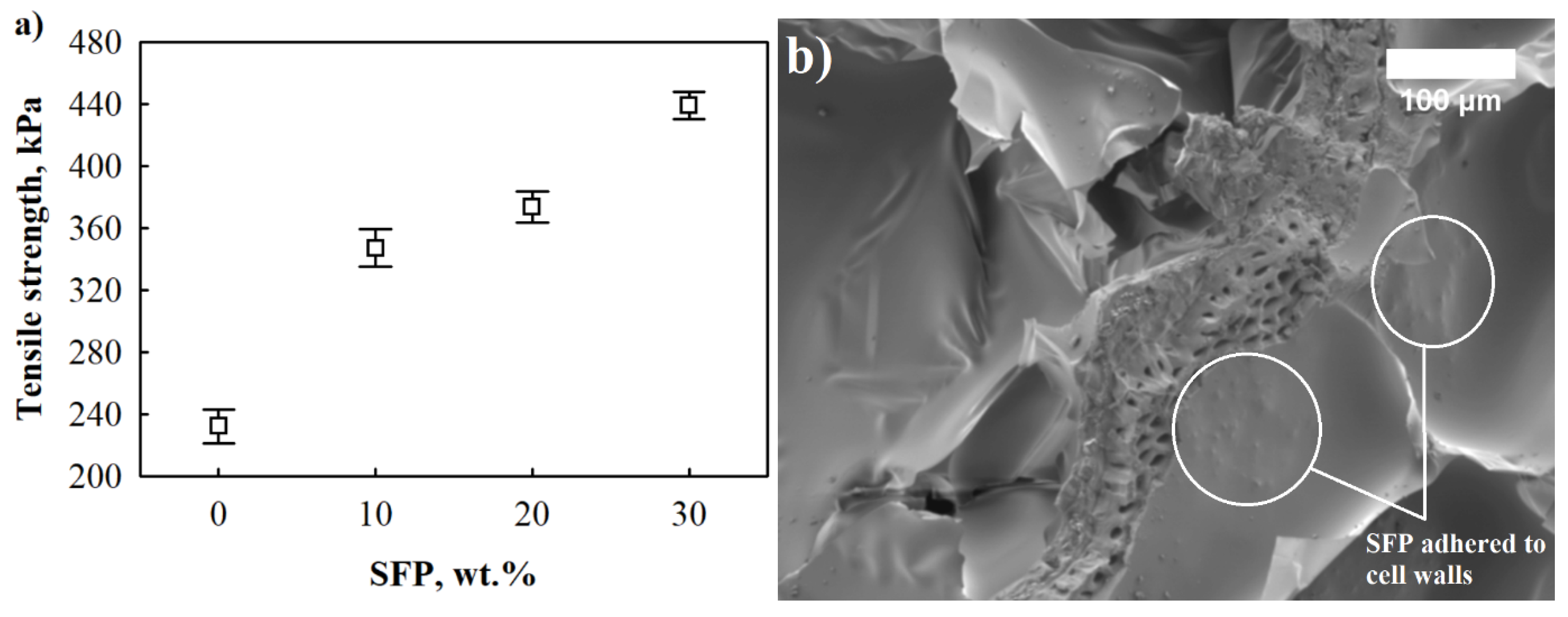 Materials 14 05475 g006 550