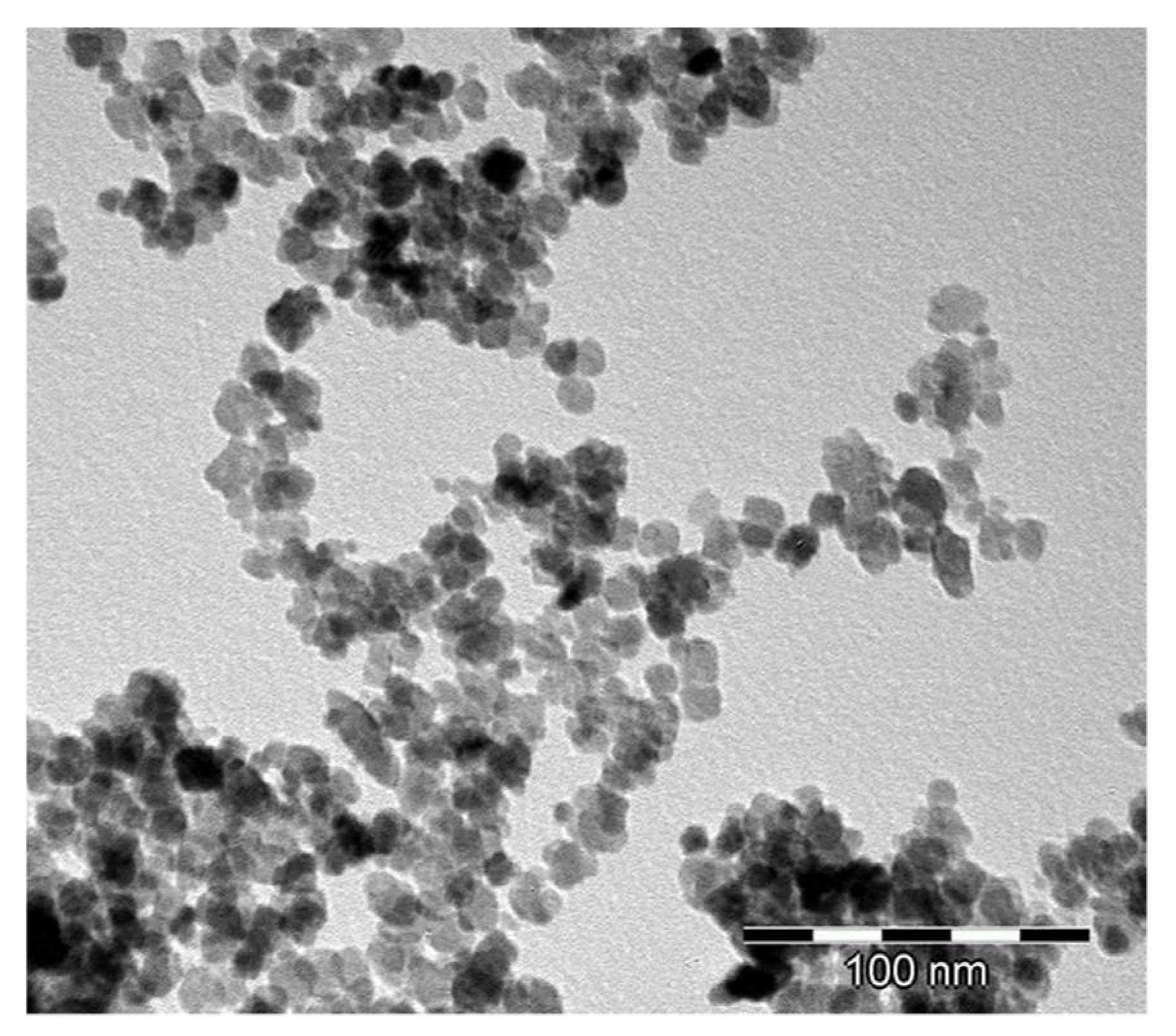 Materials 14 05478 g002