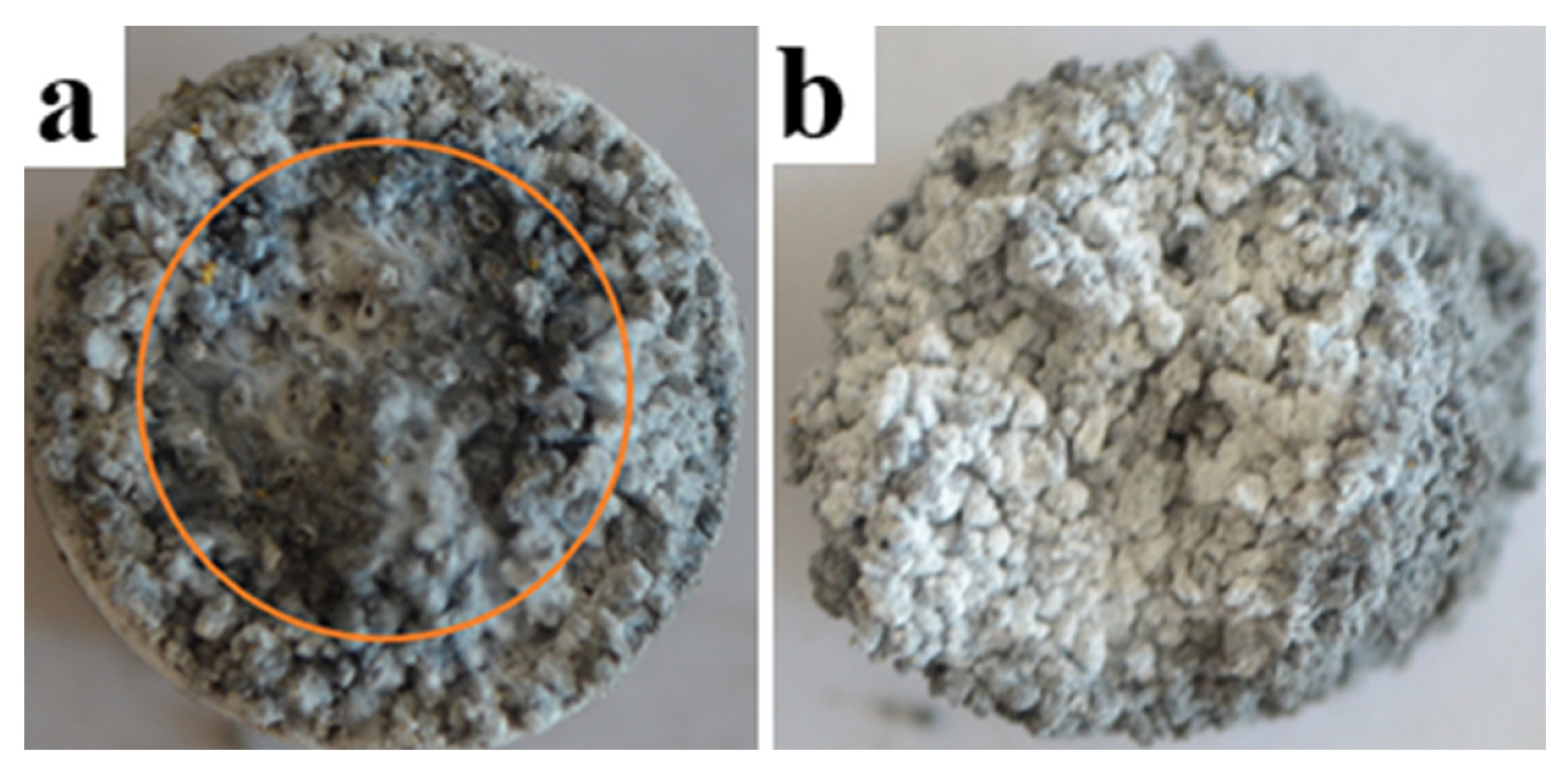 Materials 14 05482 g002