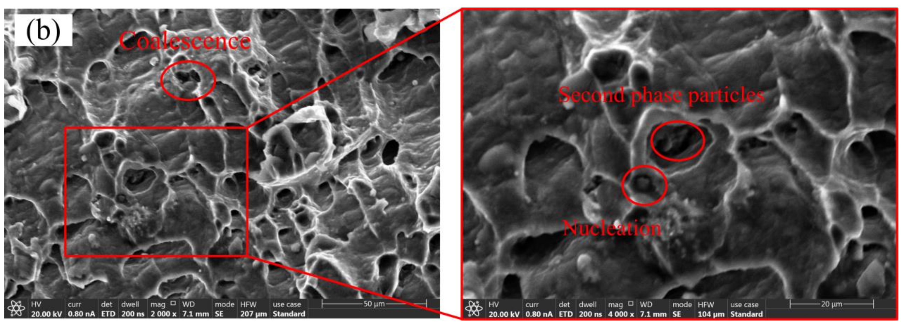 Materials 14 05485 g012b