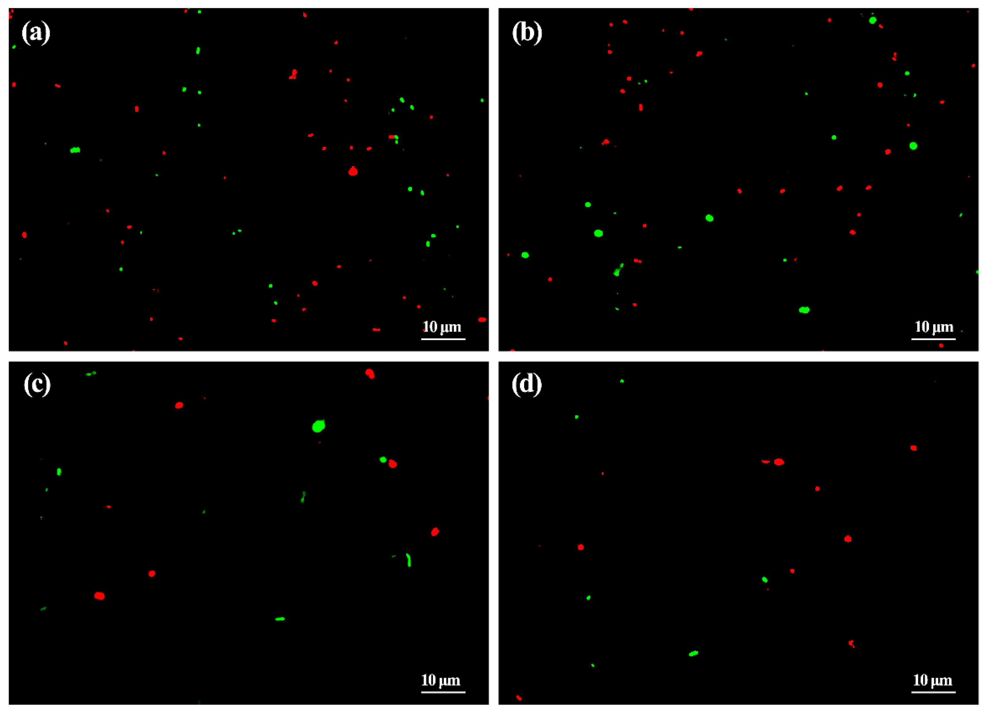 Materials 14 05488 g002